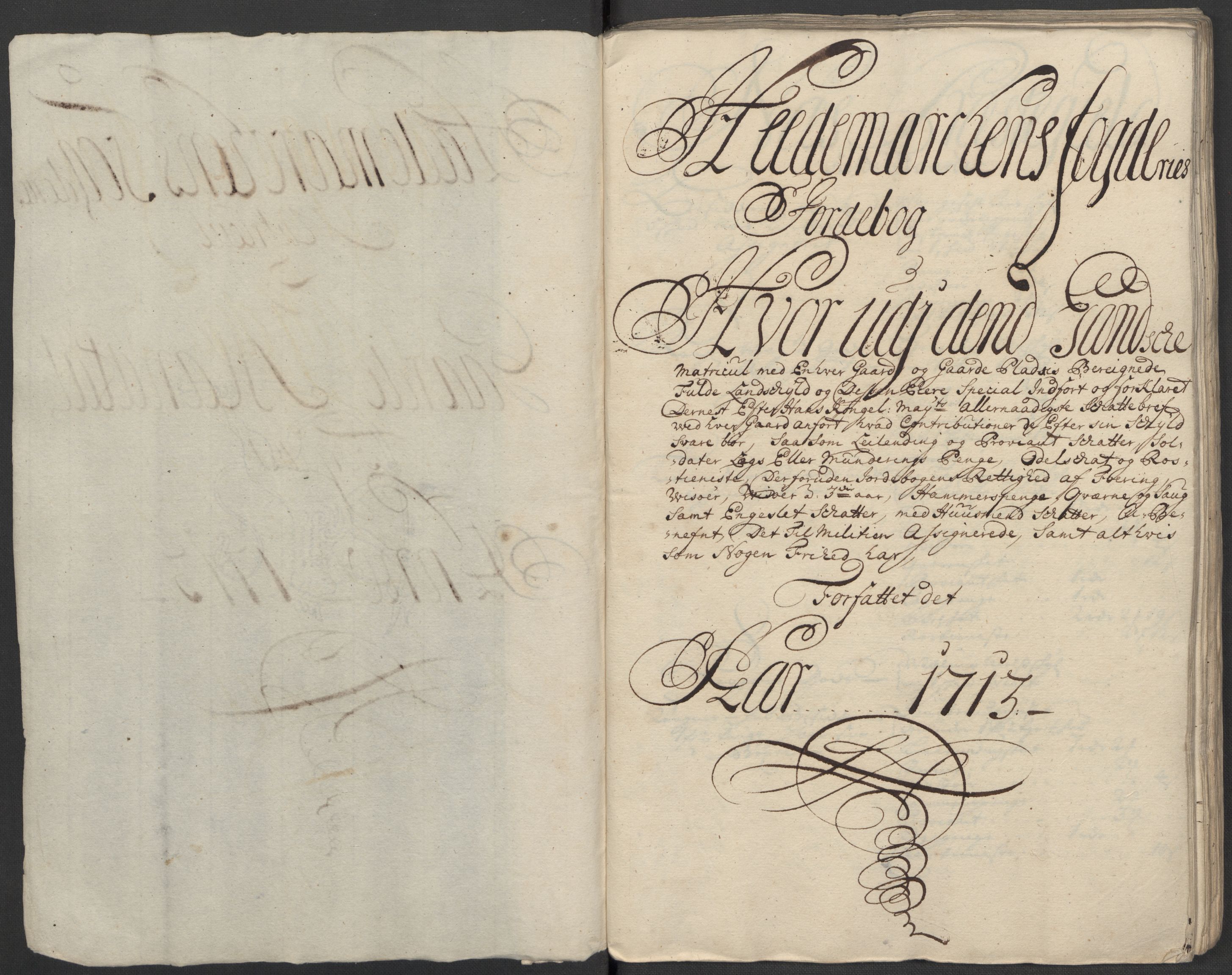 Rentekammeret inntil 1814, Reviderte regnskaper, Fogderegnskap, RA/EA-4092/R16/L1050: Fogderegnskap Hedmark, 1713, p. 19