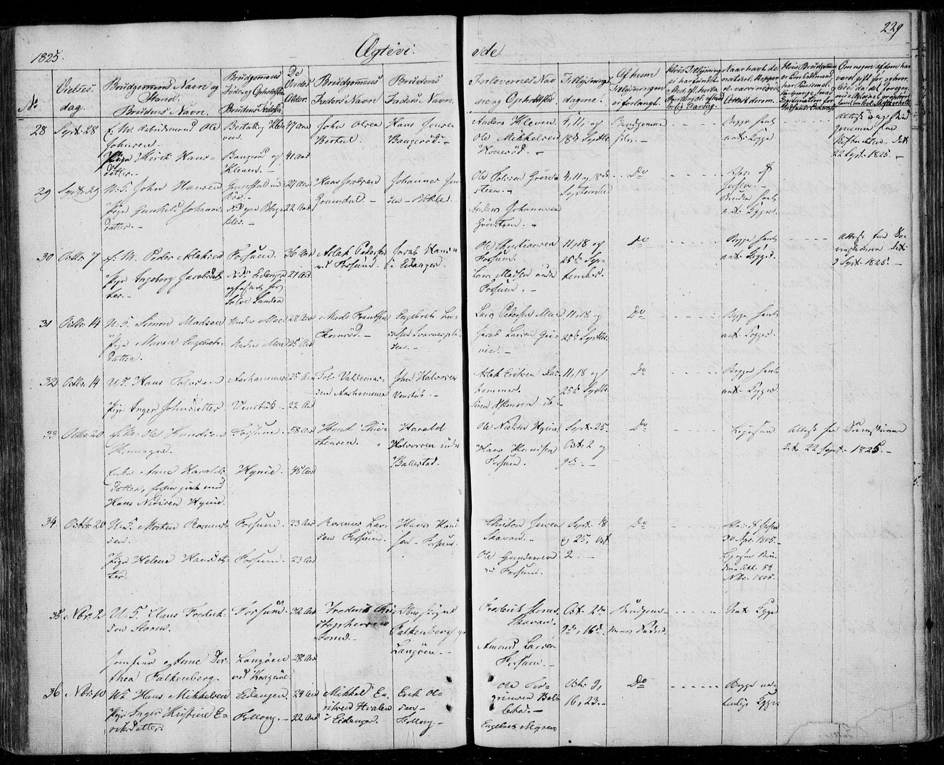 Gjerpen kirkebøker, AV/SAKO-A-265/F/Fa/L0005: Parish register (official) no. I 5, 1823-1829, p. 229