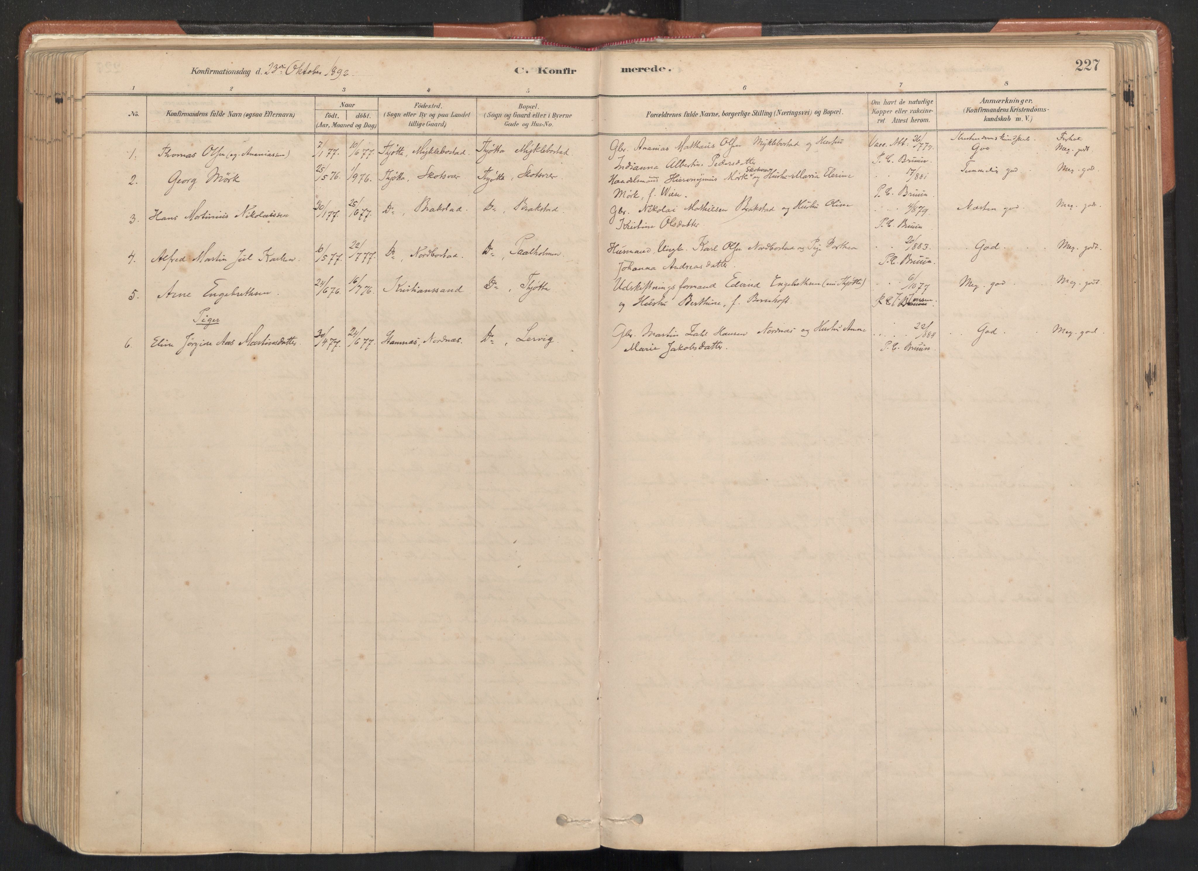 Ministerialprotokoller, klokkerbøker og fødselsregistre - Nordland, AV/SAT-A-1459/817/L0264: Parish register (official) no. 817A04, 1878-1907, p. 227