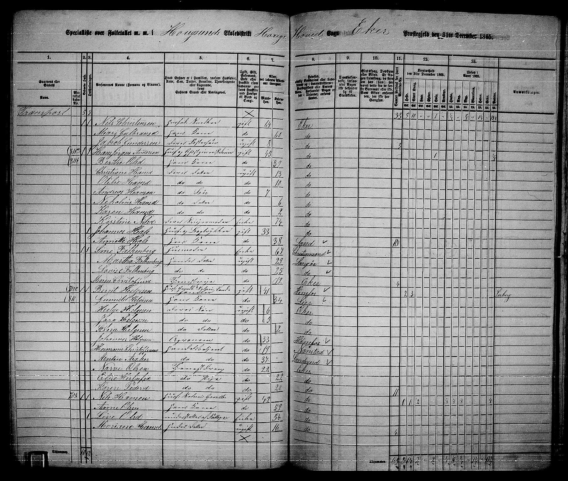 RA, 1865 census for Eiker, 1865, p. 213