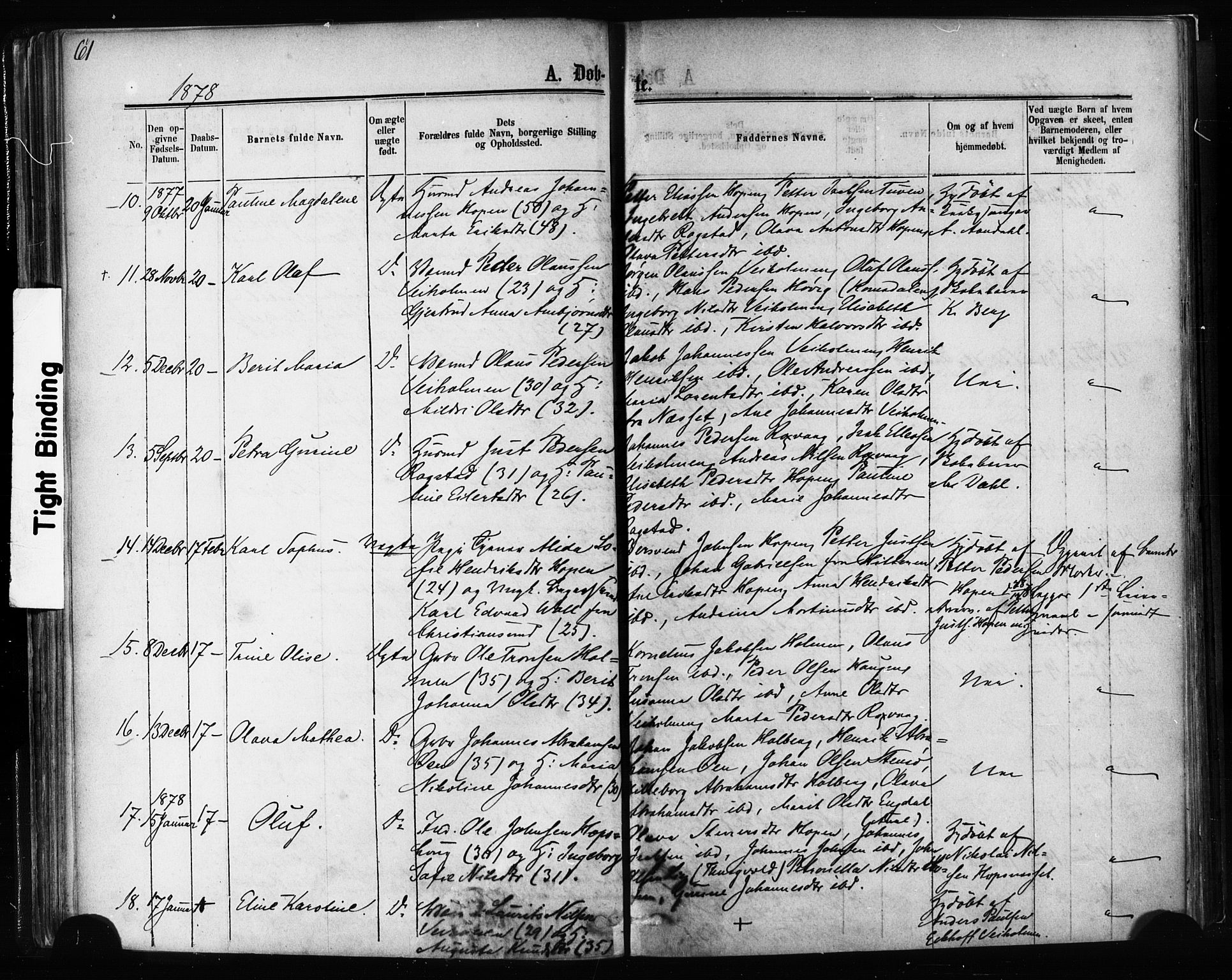 Ministerialprotokoller, klokkerbøker og fødselsregistre - Møre og Romsdal, AV/SAT-A-1454/581/L0938: Parish register (official) no. 581A06, 1873-1879, p. 61