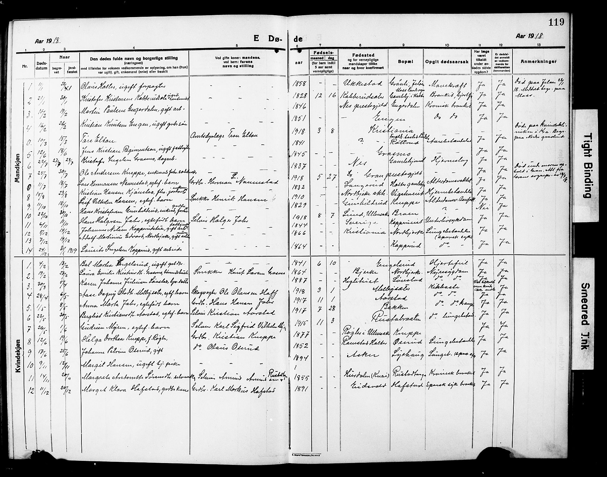Nannestad prestekontor Kirkebøker, AV/SAO-A-10414a/G/Ga/L0003: Parish register (copy) no. I 3, 1914-1929, p. 119