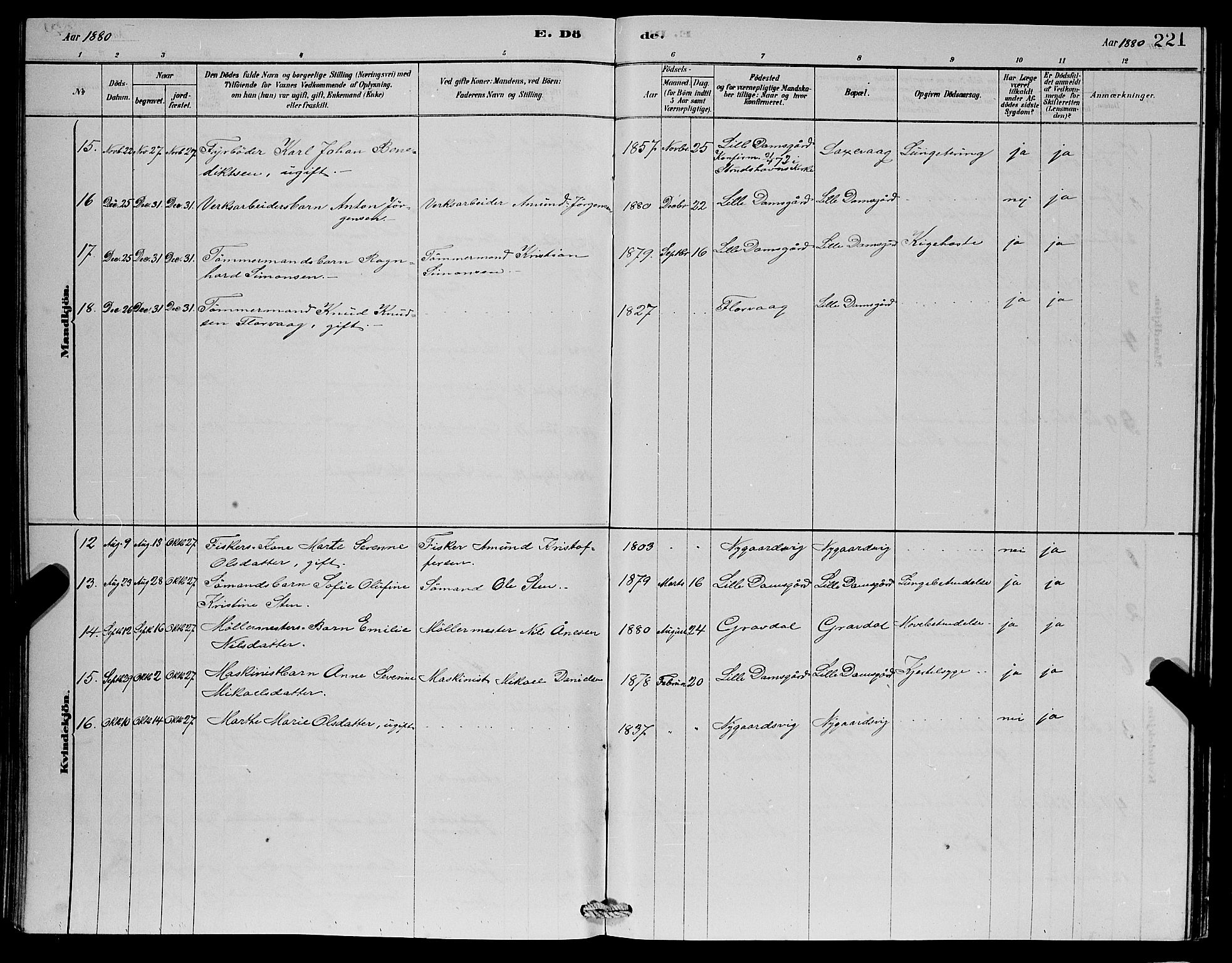 Laksevåg Sokneprestembete, SAB/A-76501/H/Ha/Hab/Haba/L0002: Parish register (copy) no. A 2, 1877-1887, p. 221