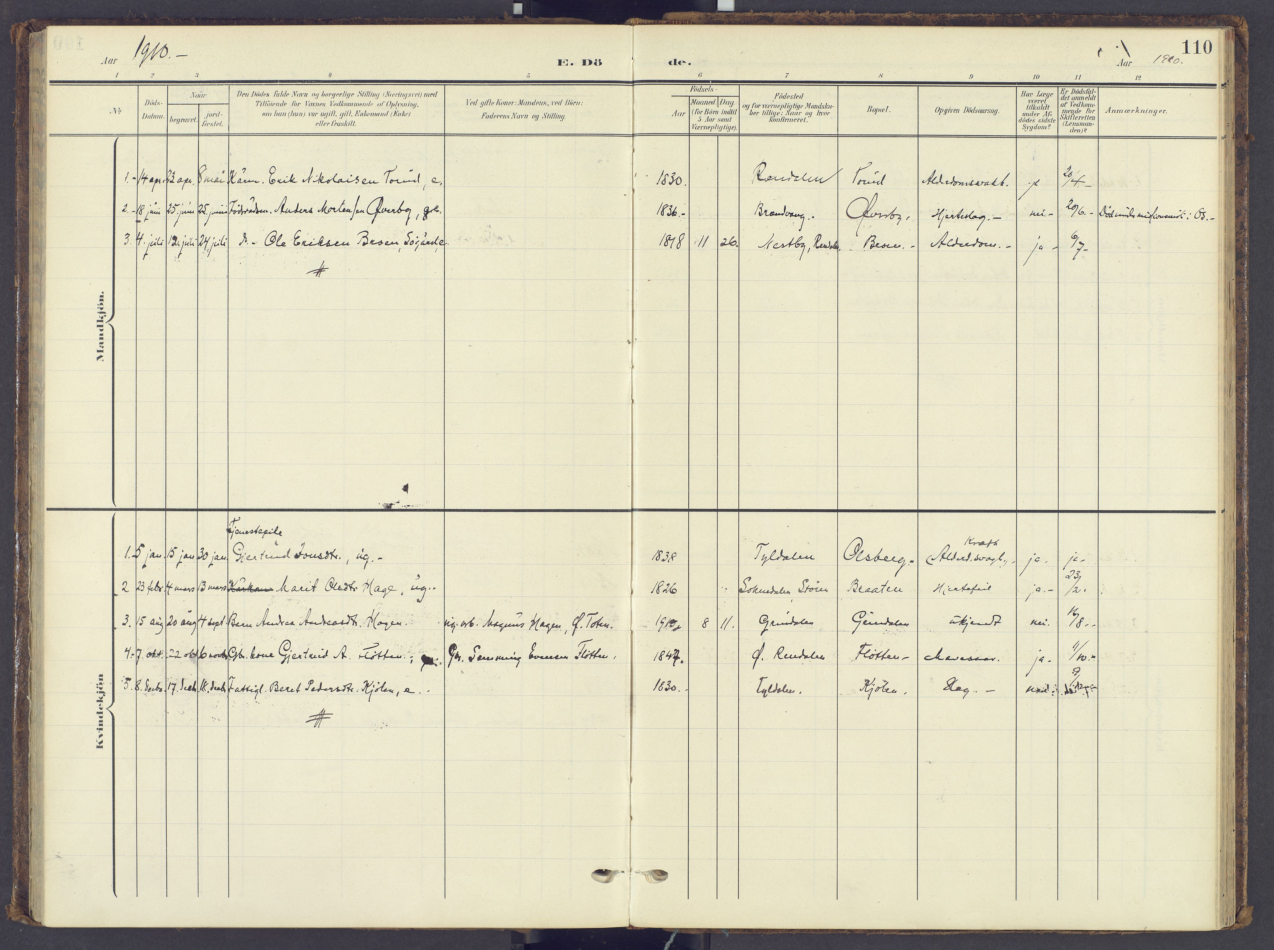 Tynset prestekontor, SAH/PREST-058/H/Ha/Haa/L0028: Parish register (official) no. 28, 1902-1929, p. 110