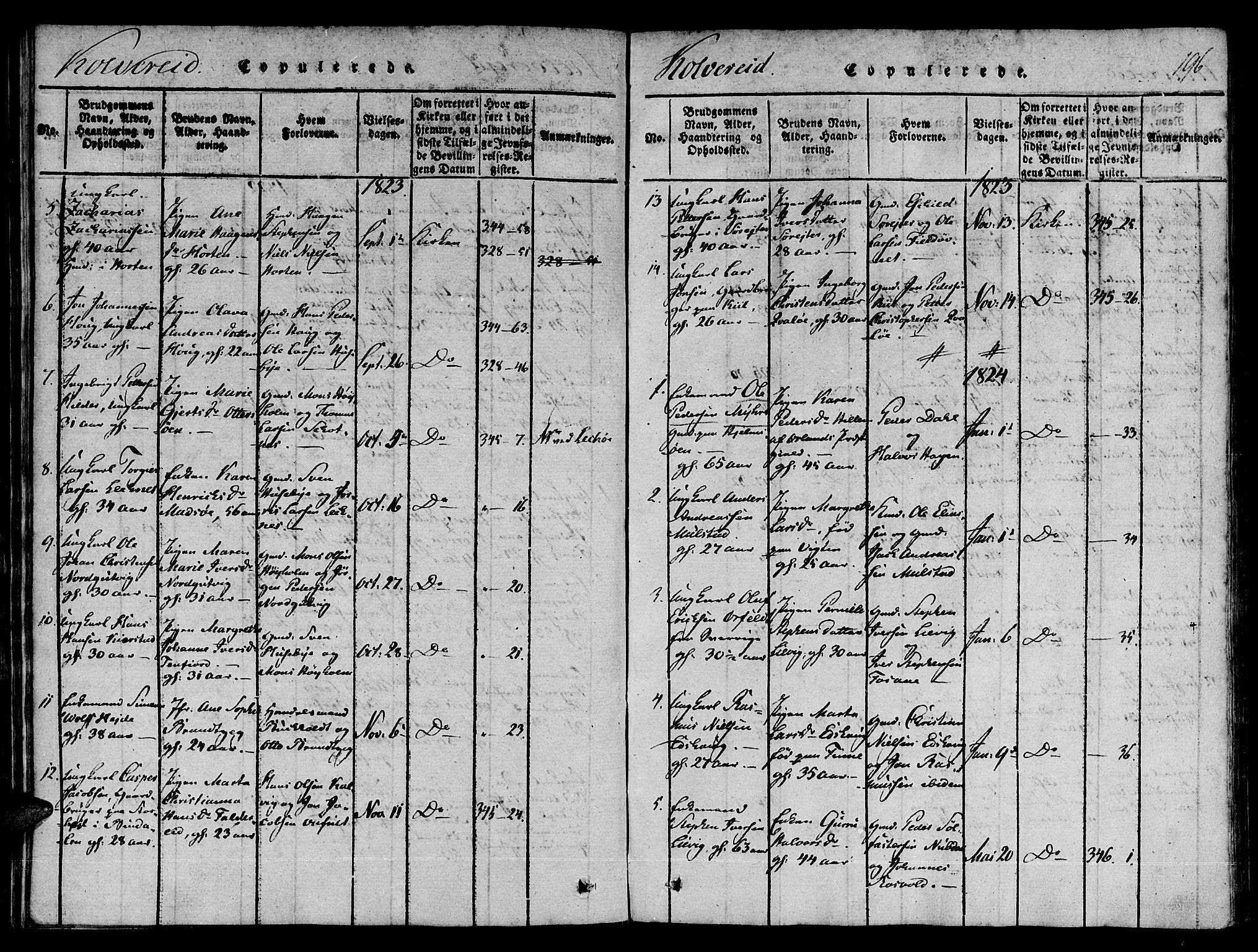 Ministerialprotokoller, klokkerbøker og fødselsregistre - Nord-Trøndelag, SAT/A-1458/780/L0636: Parish register (official) no. 780A03 /1, 1815-1830, p. 196