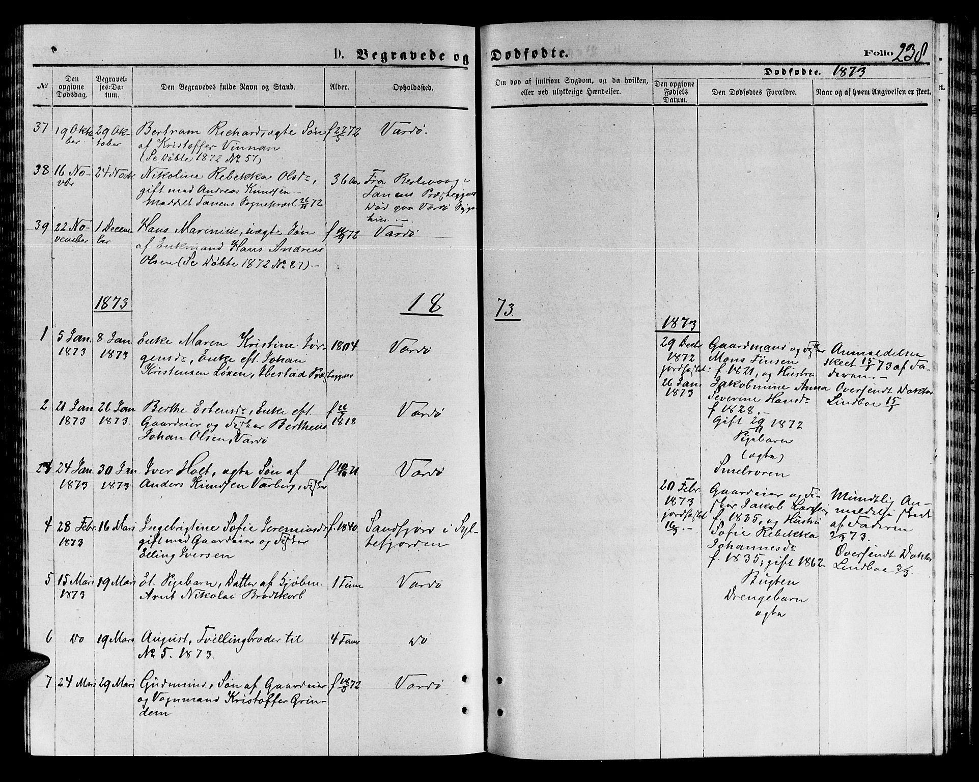 Vardø sokneprestkontor, SATØ/S-1332/H/Hb/L0003klokker: Parish register (copy) no. 3, 1871-1878, p. 238
