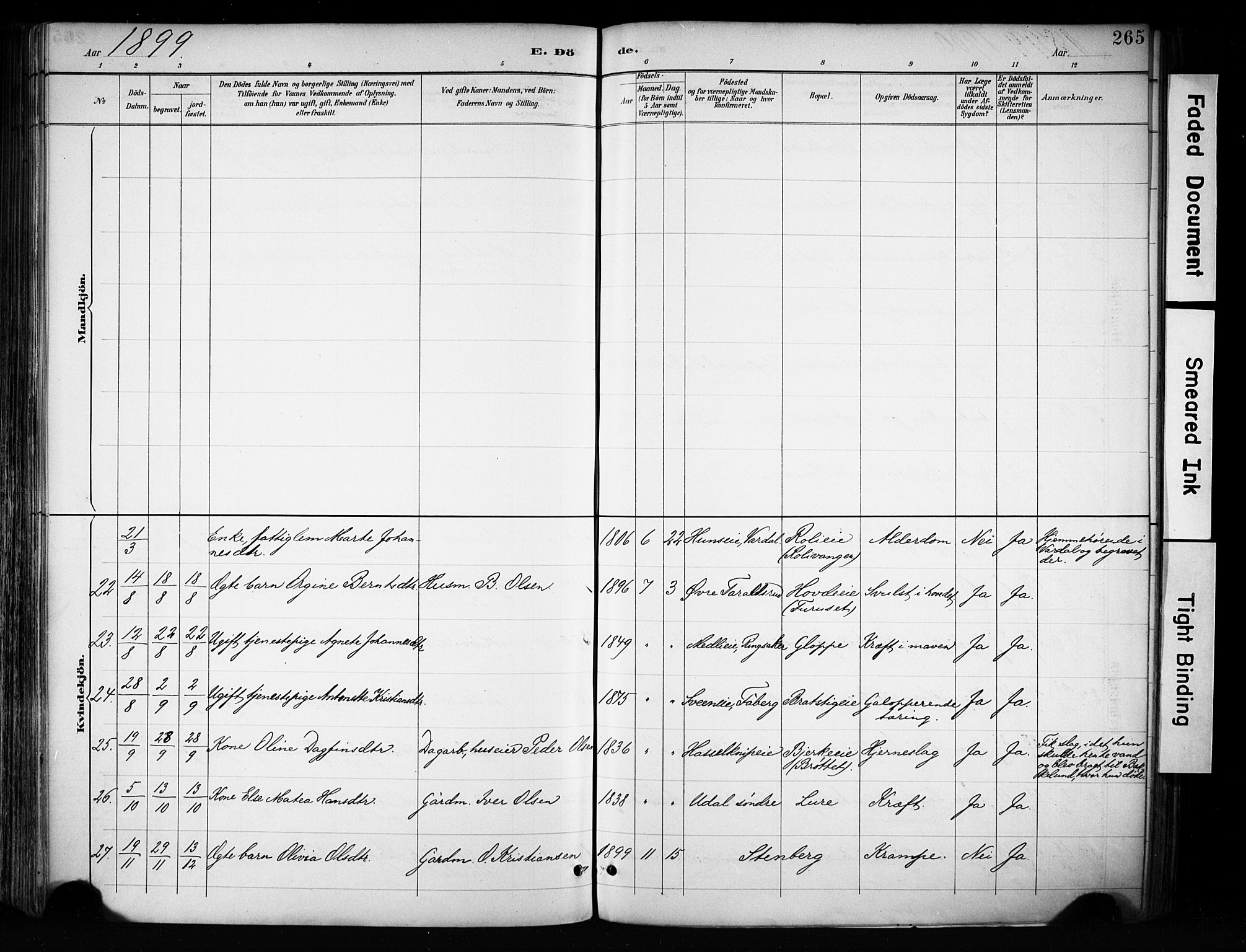 Biri prestekontor, AV/SAH-PREST-096/H/Ha/Haa/L0009: Parish register (official) no. 9, 1887-1900, p. 265