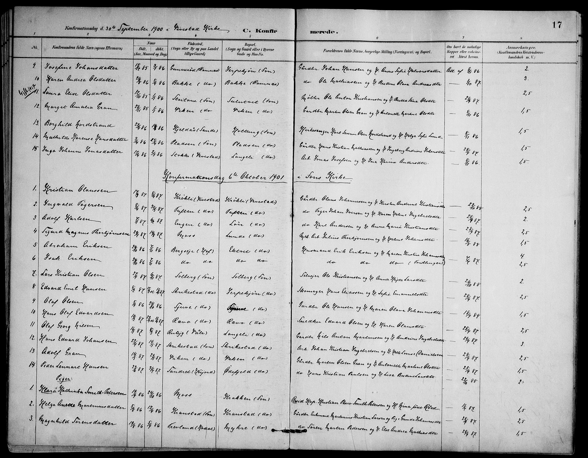 Ramnes kirkebøker, SAKO/A-314/F/Fd/L0003: Curate's parish register no. IV 3, 1887-1907, p. 17