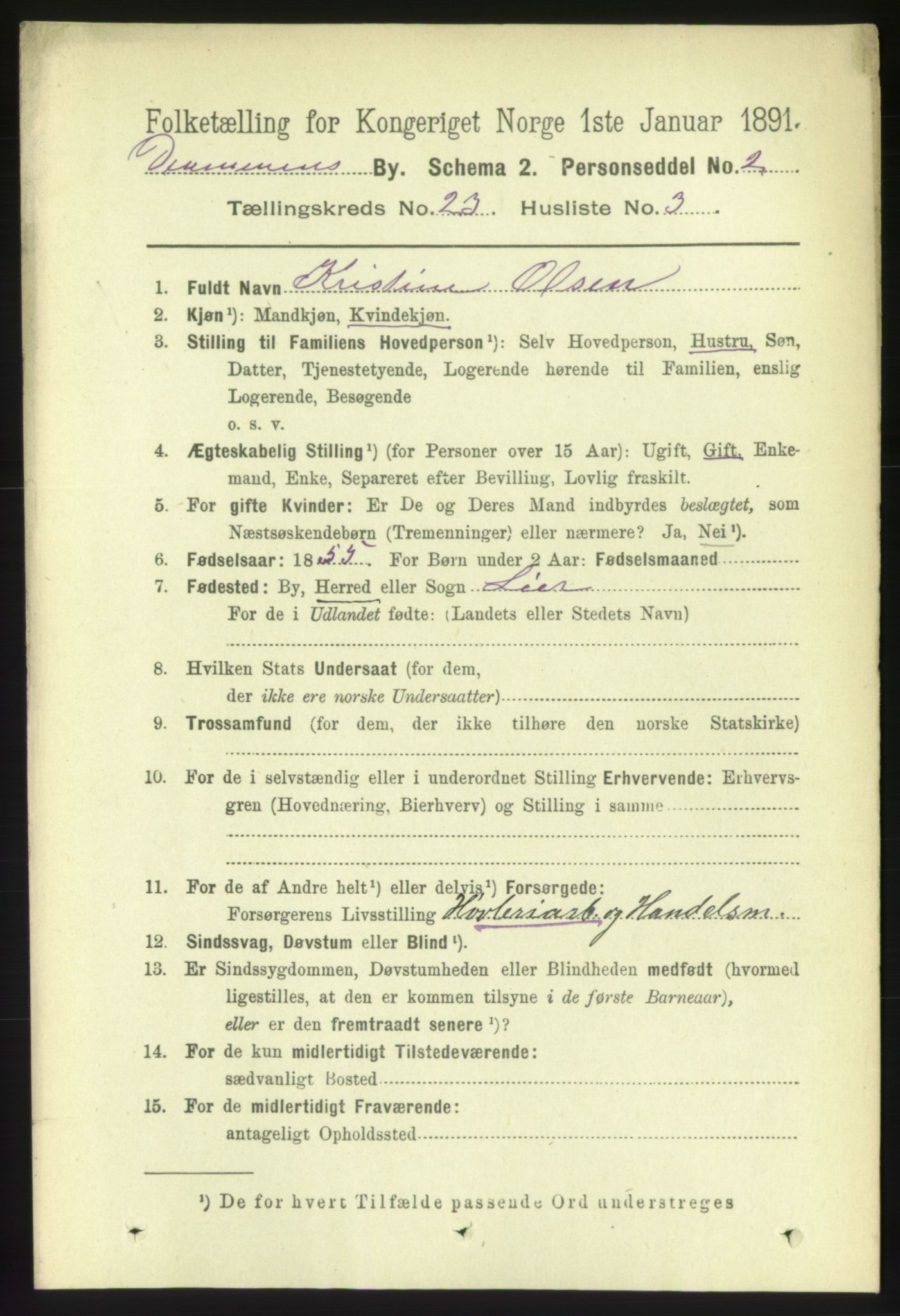 RA, 1891 census for 0602 Drammen, 1891, p. 14074