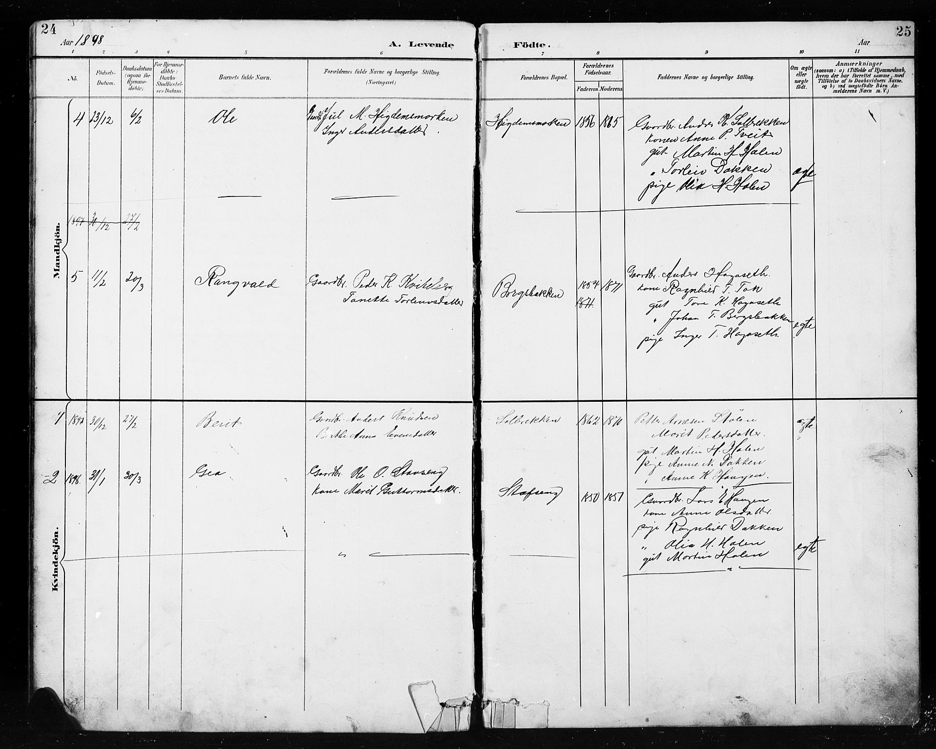 Etnedal prestekontor, SAH/PREST-130/H/Ha/Hab/Habb/L0001: Parish register (copy) no. II 1, 1894-1911, p. 24-25