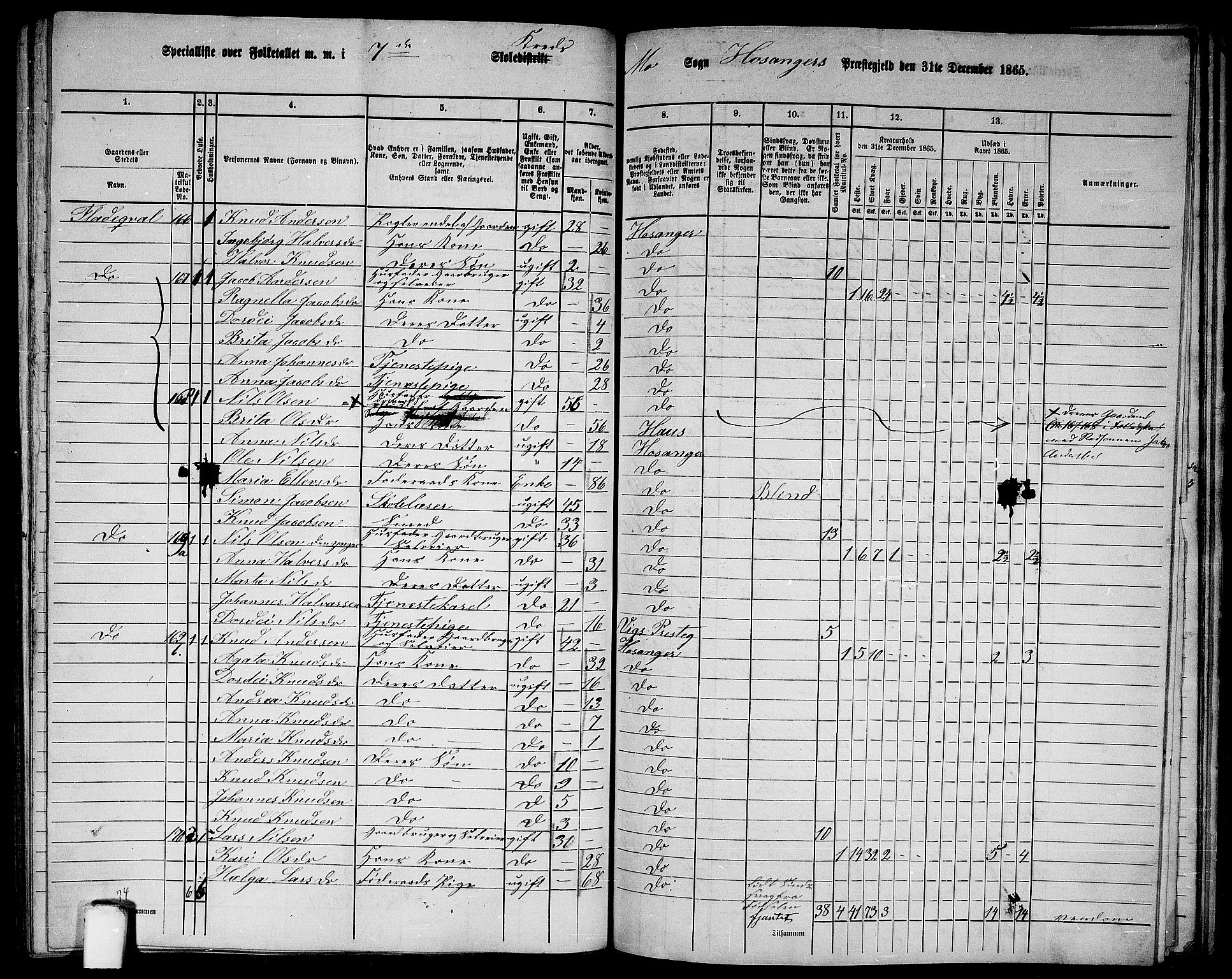 RA, 1865 census for Hosanger, 1865, p. 142