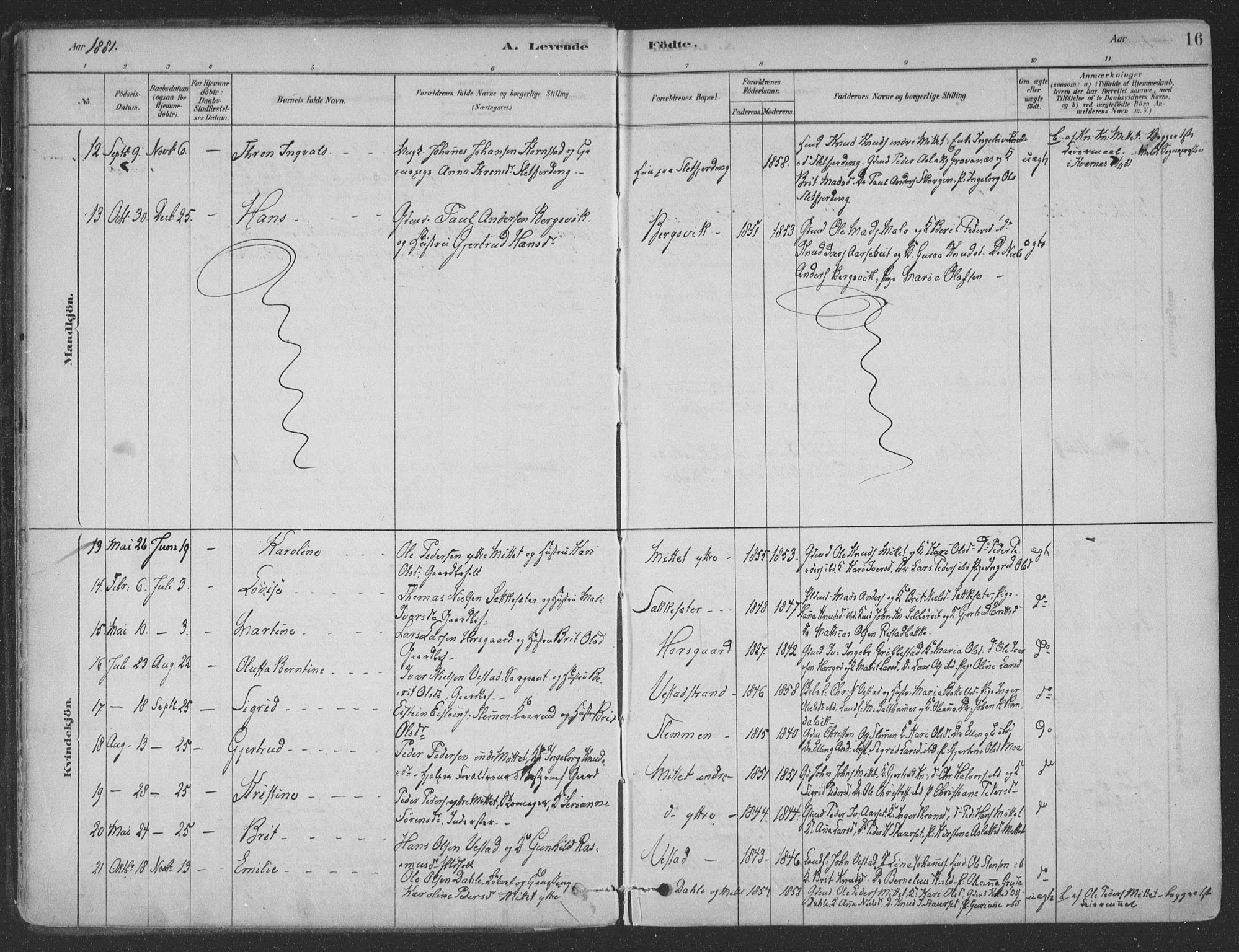 Ministerialprotokoller, klokkerbøker og fødselsregistre - Møre og Romsdal, AV/SAT-A-1454/547/L0604: Parish register (official) no. 547A06, 1878-1906, p. 16