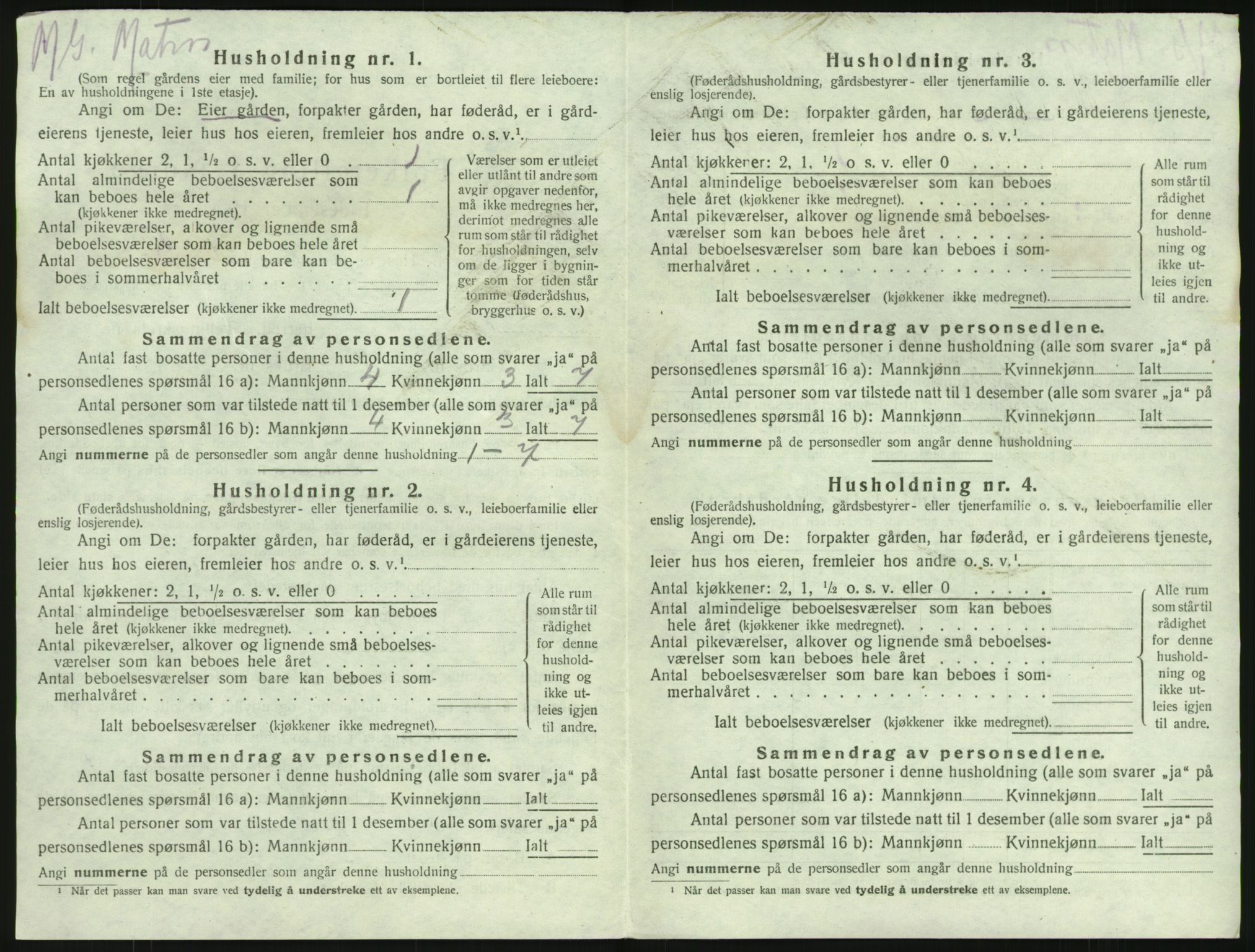 SAKO, 1920 census for Brunlanes, 1920, p. 730