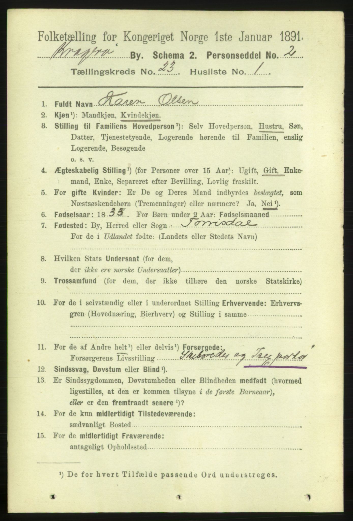 RA, 1891 census for 0801 Kragerø, 1891, p. 4879