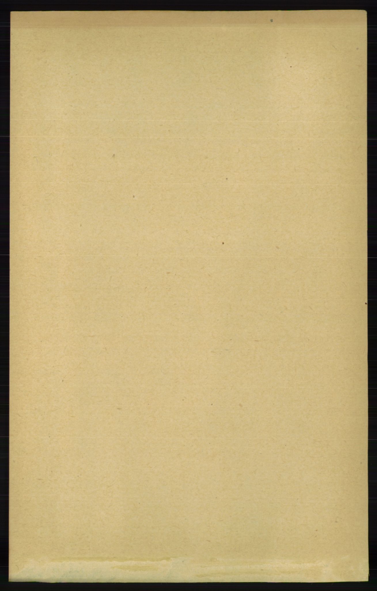 RA, 1891 census for 1012 Oddernes, 1891, p. 3259