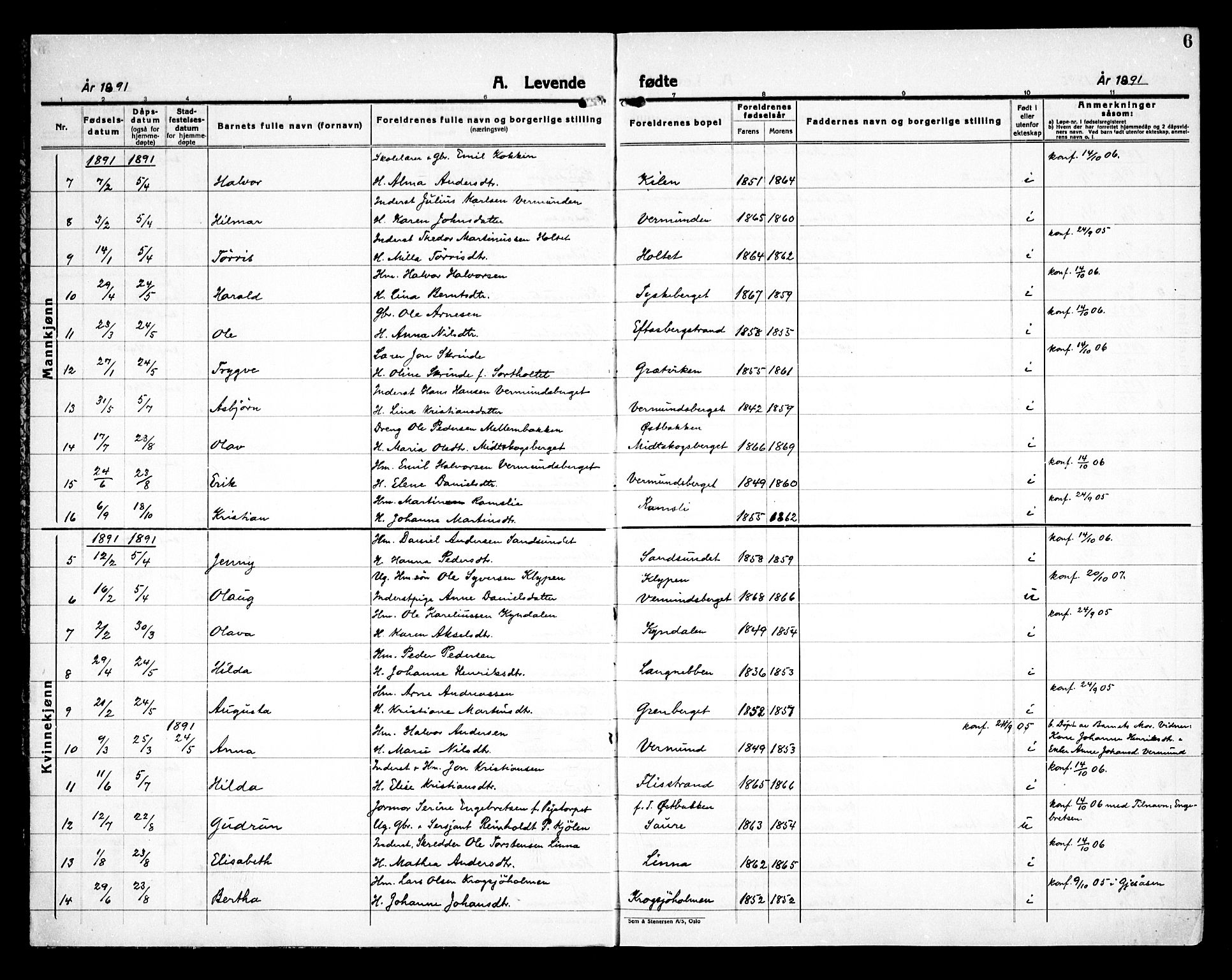 Åsnes prestekontor, SAH/PREST-042/H/Ha/Haa/L0000E: Parish register (official) no. 0C, 1890-1929, p. 6