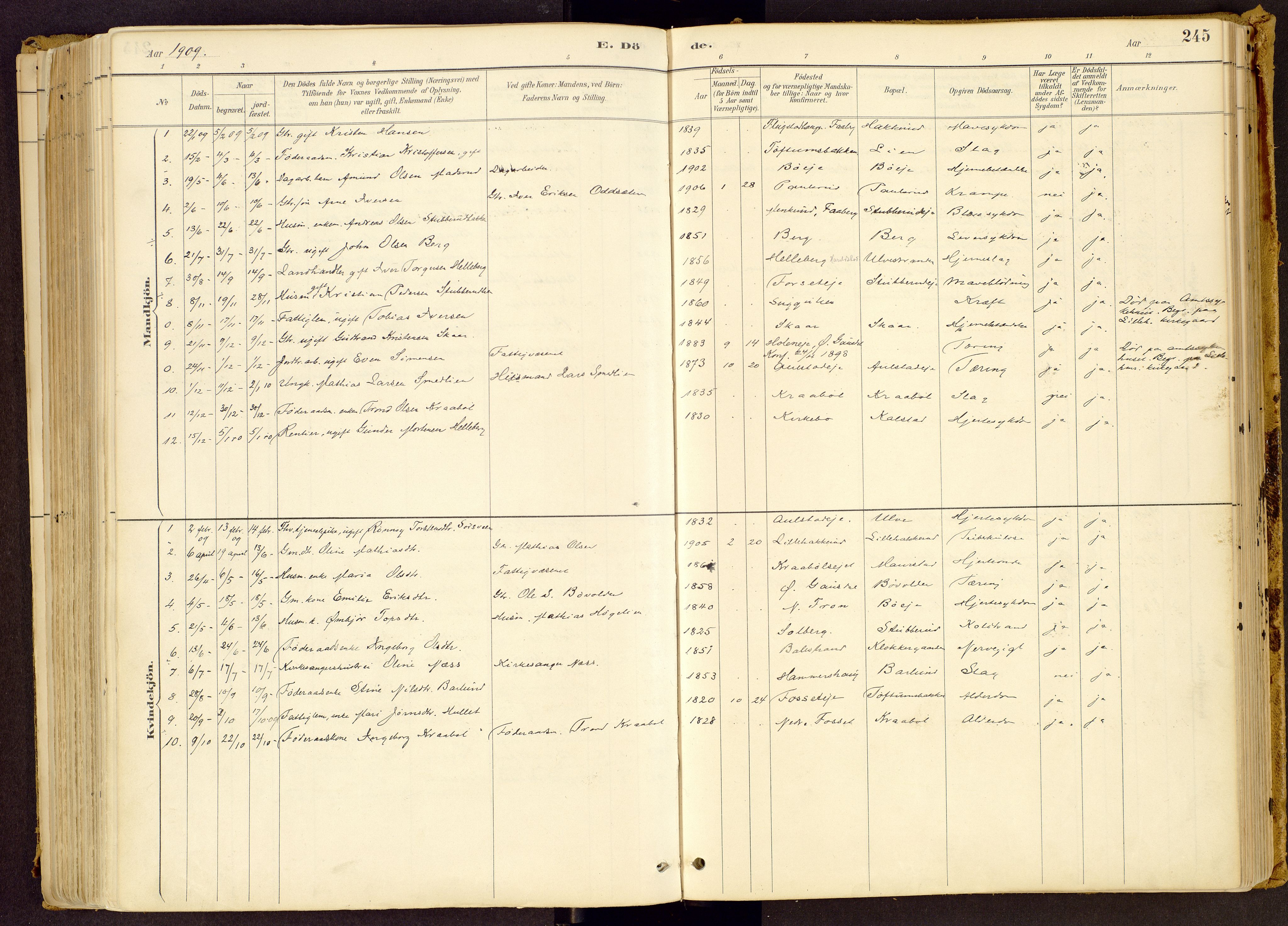 Vestre Gausdal prestekontor, SAH/PREST-094/H/Ha/Haa/L0001: Parish register (official) no. 1, 1887-1914, p. 245