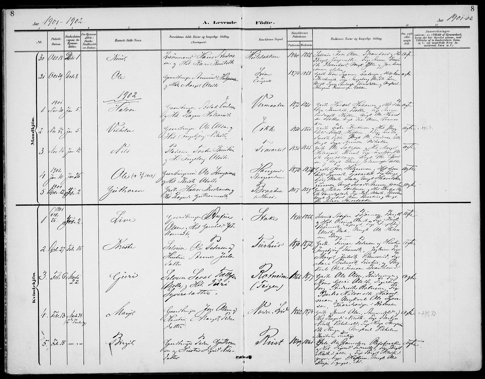 Gol kirkebøker, SAKO/A-226/F/Fa/L0006: Parish register (official) no. I 6, 1901-1918, p. 8