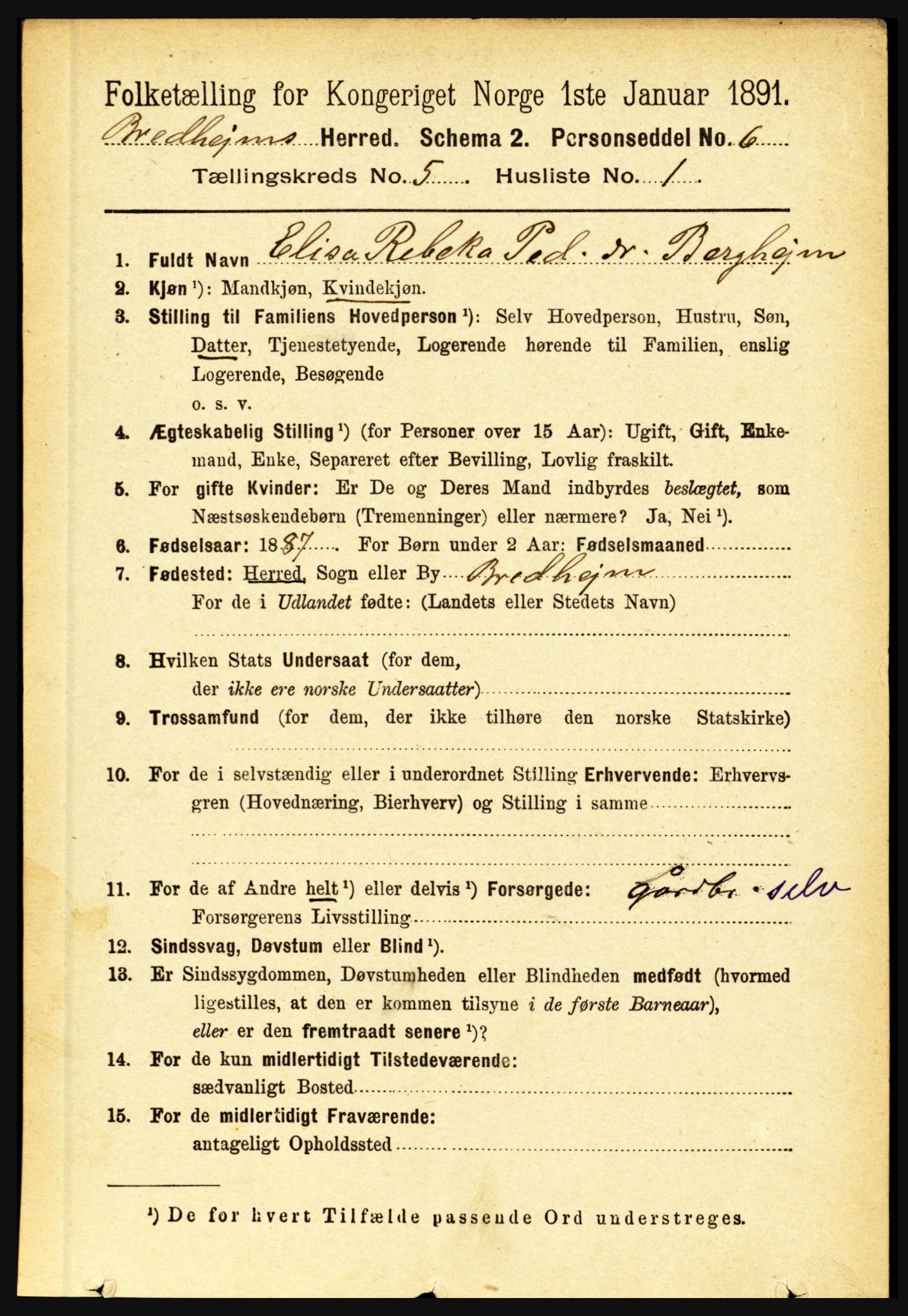 RA, 1891 census for 1446 Breim, 1891, p. 1741