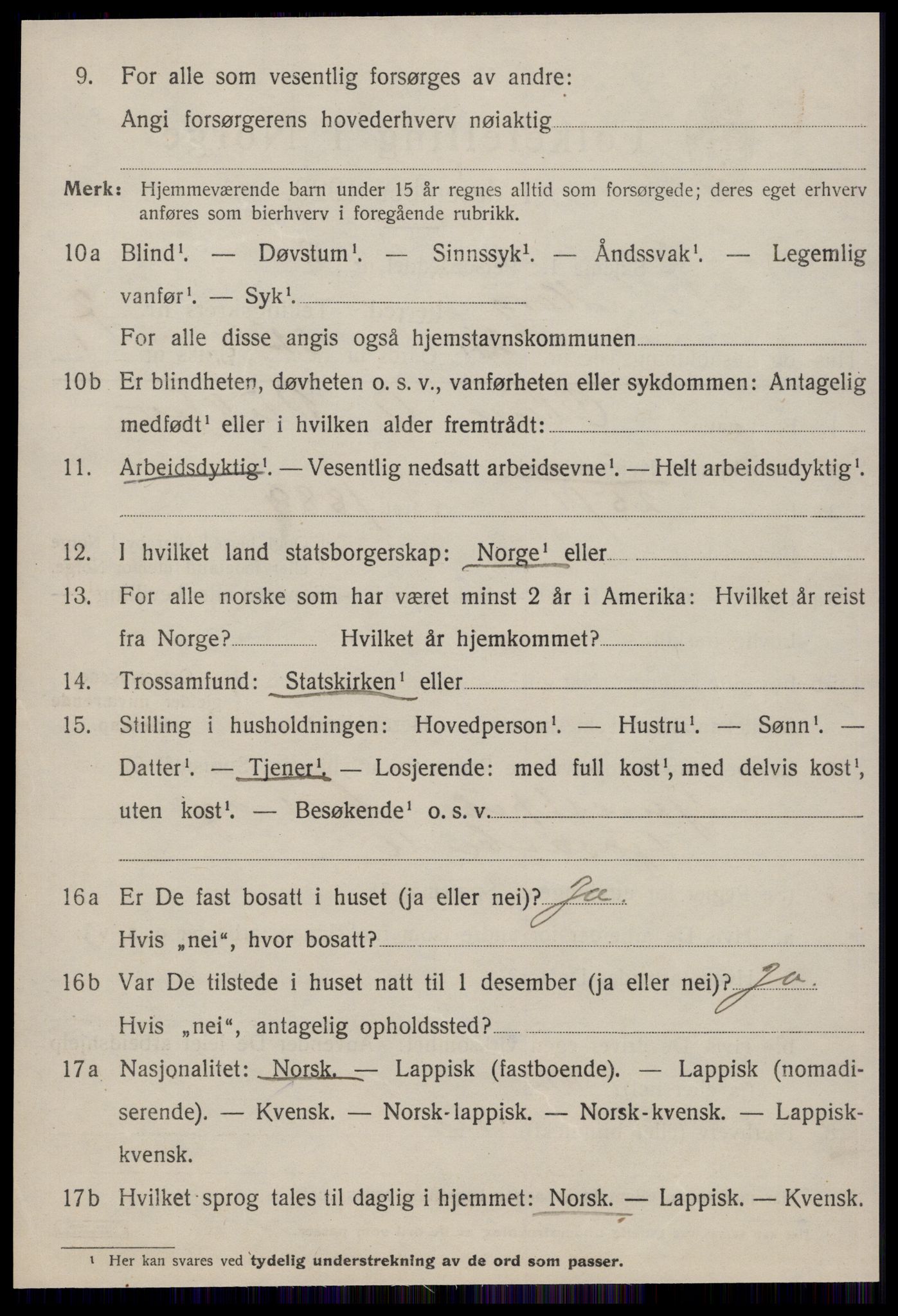 SAT, 1920 census for Horg, 1920, p. 4811