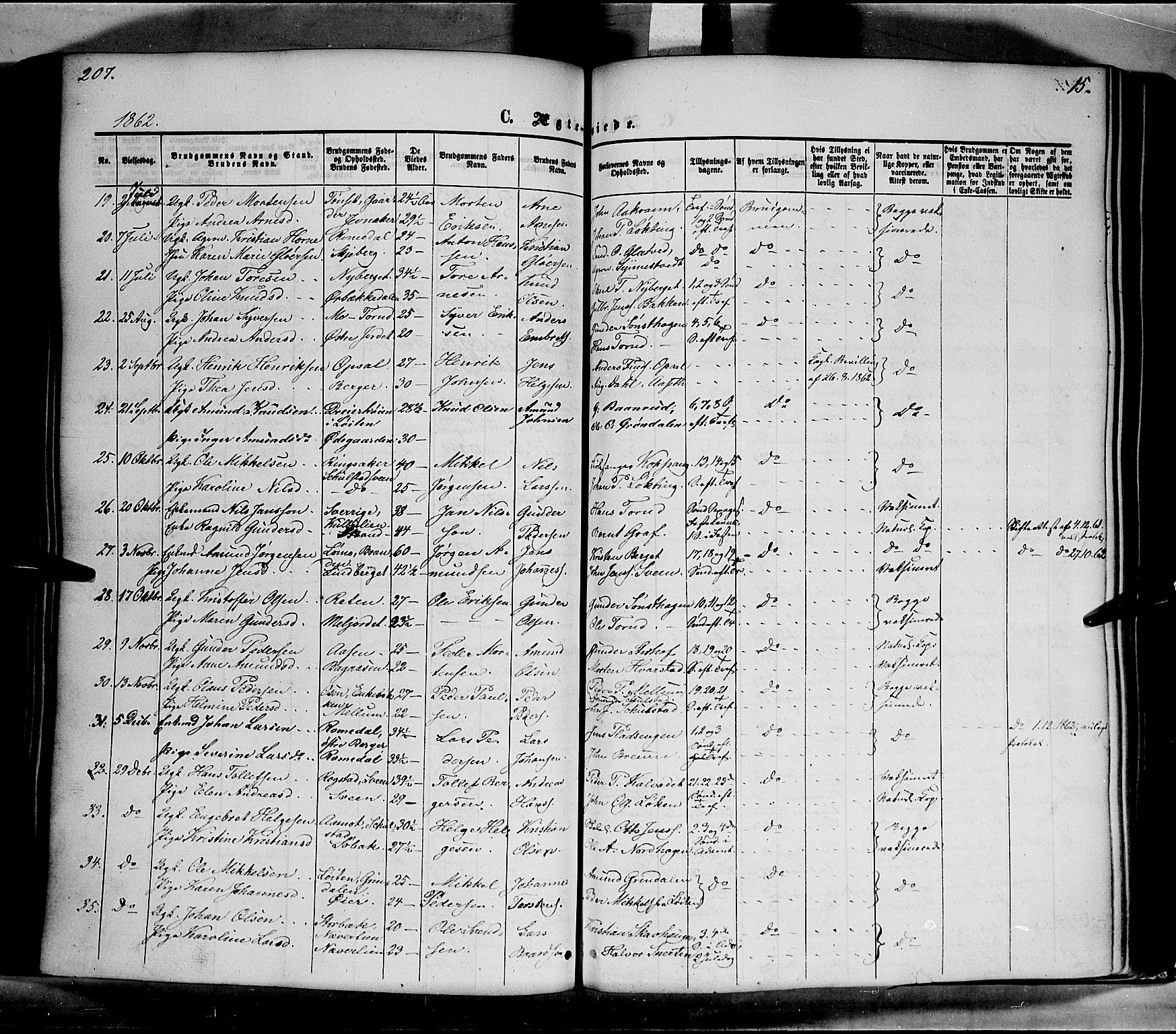 Elverum prestekontor, AV/SAH-PREST-044/H/Ha/Haa/L0010: Parish register (official) no. 10, 1857-1868, p. 207