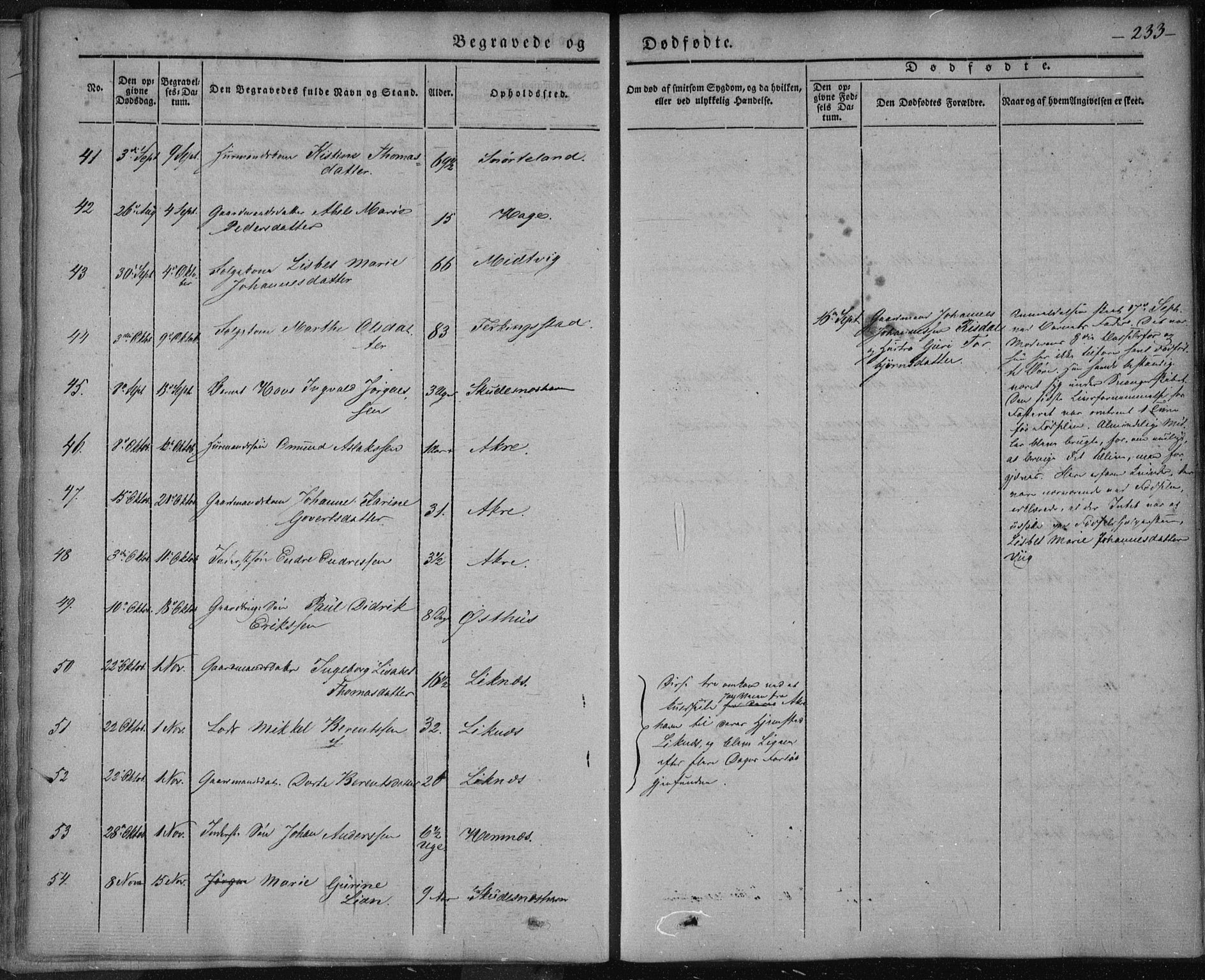 Skudenes sokneprestkontor, AV/SAST-A -101849/H/Ha/Haa/L0003: Parish register (official) no. A 2.2, 1841-1846, p. 233