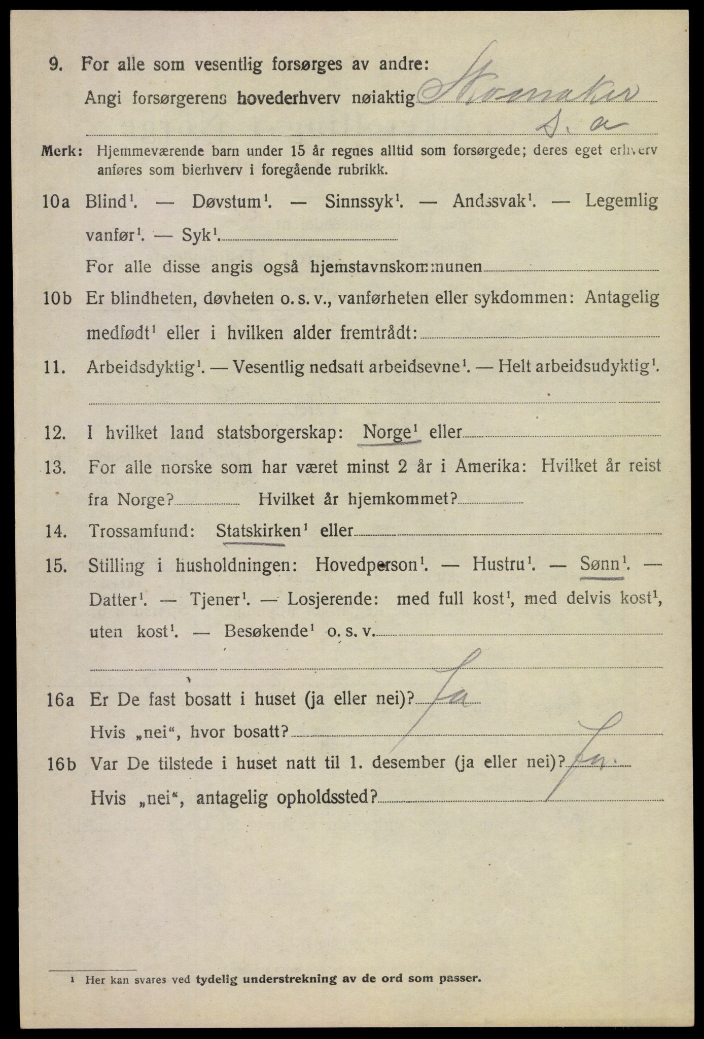 SAKO, 1920 census for Borre, 1920, p. 7103