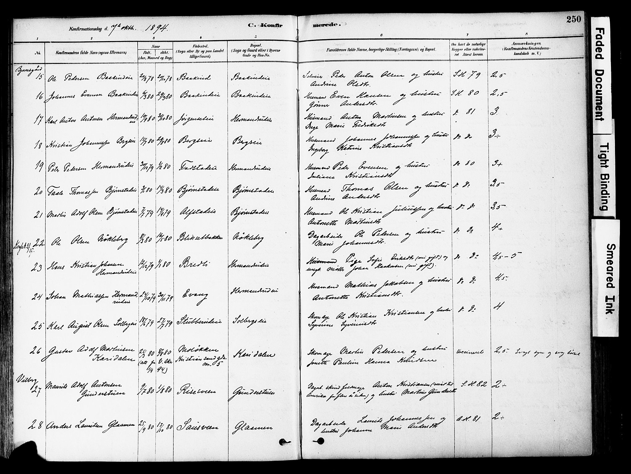 Østre Toten prestekontor, SAH/PREST-104/H/Ha/Haa/L0006: Parish register (official) no. 6 /1, 1878-1896, p. 250