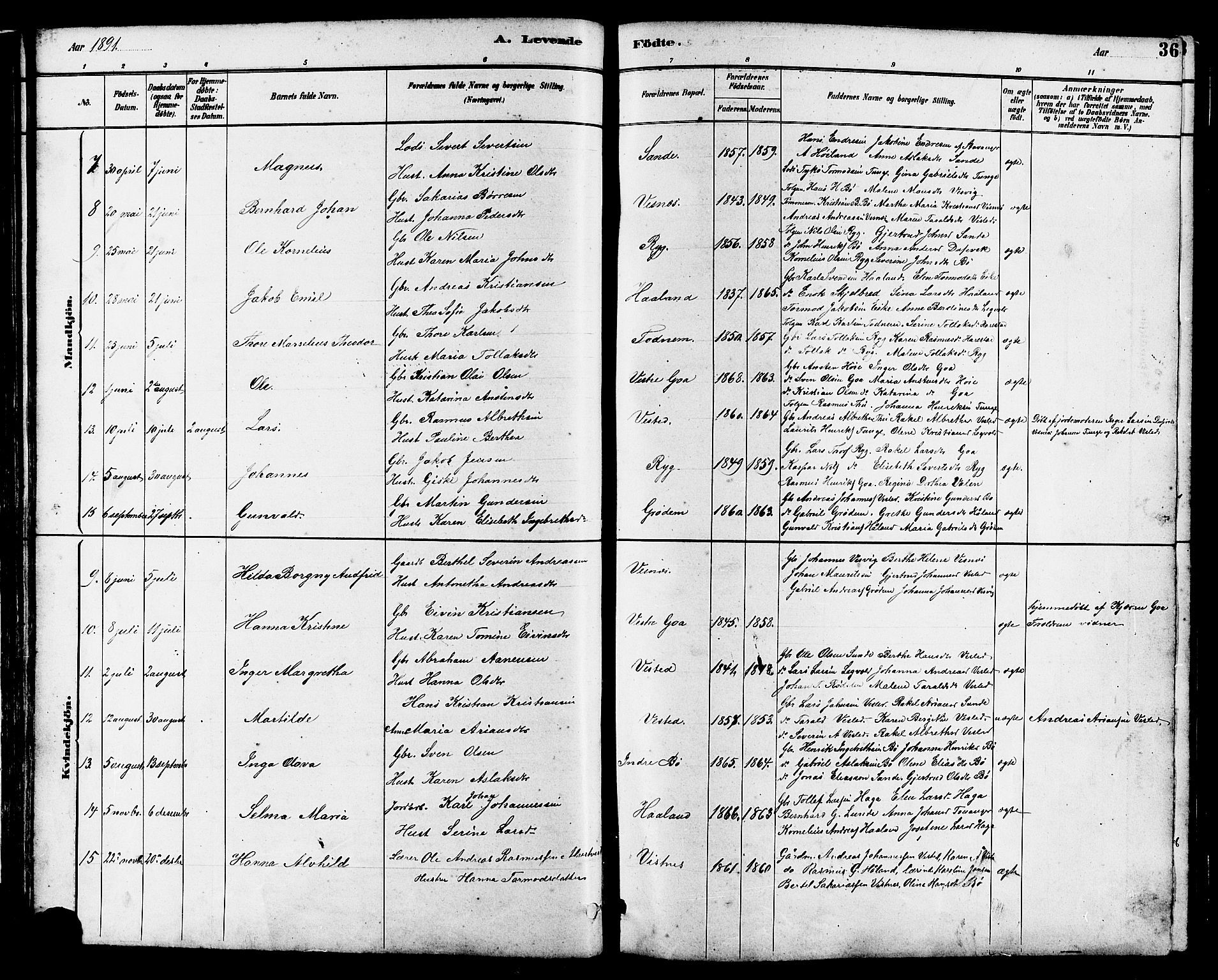 Hetland sokneprestkontor, SAST/A-101826/30/30BB/L0006: Parish register (copy) no. B 6, 1878-1921, p. 36