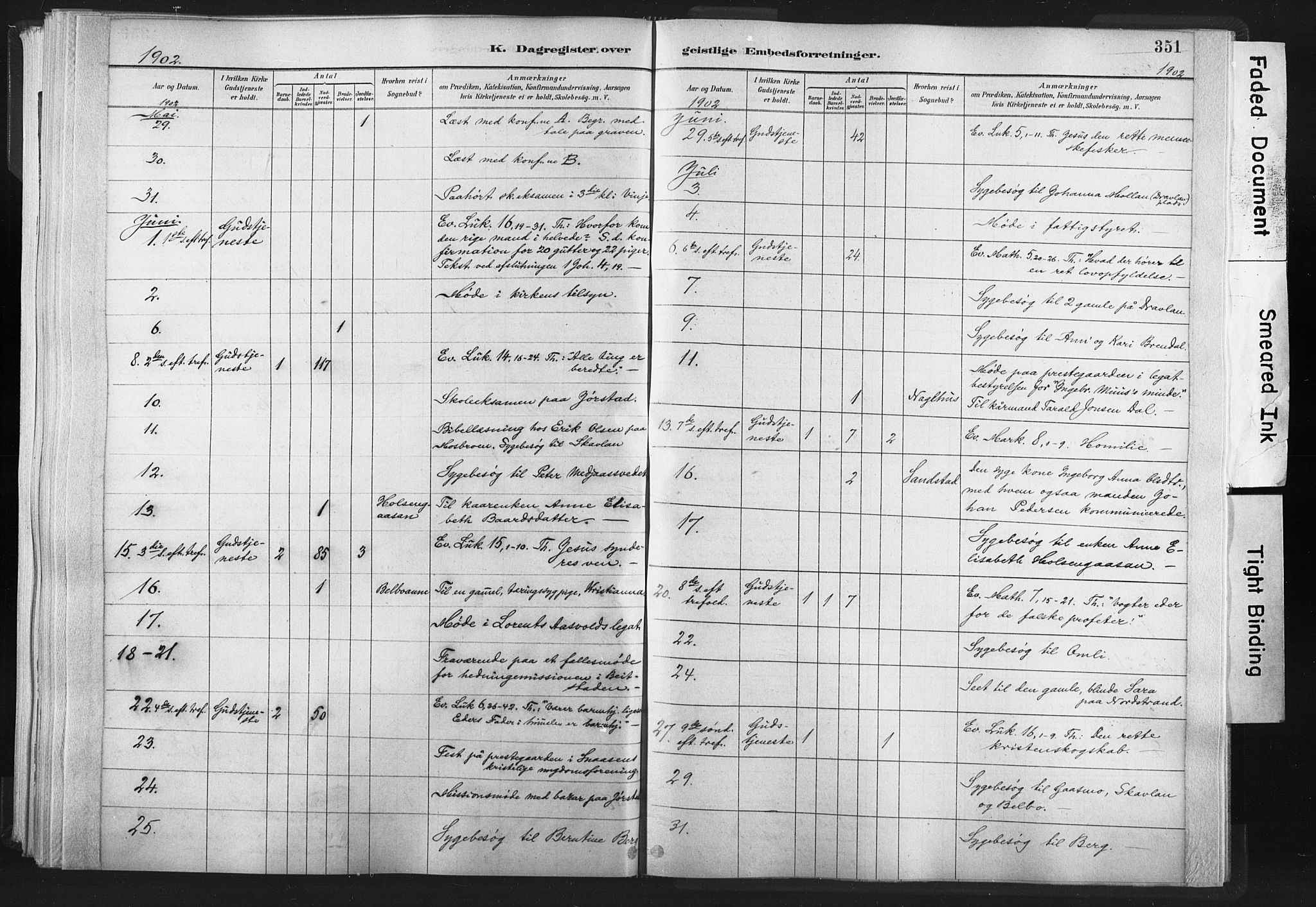 Ministerialprotokoller, klokkerbøker og fødselsregistre - Nord-Trøndelag, AV/SAT-A-1458/749/L0474: Parish register (official) no. 749A08, 1887-1903, p. 351