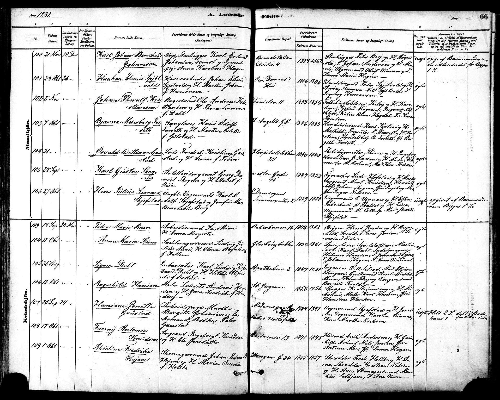 Ministerialprotokoller, klokkerbøker og fødselsregistre - Sør-Trøndelag, SAT/A-1456/601/L0057: Parish register (official) no. 601A25, 1877-1891, p. 66