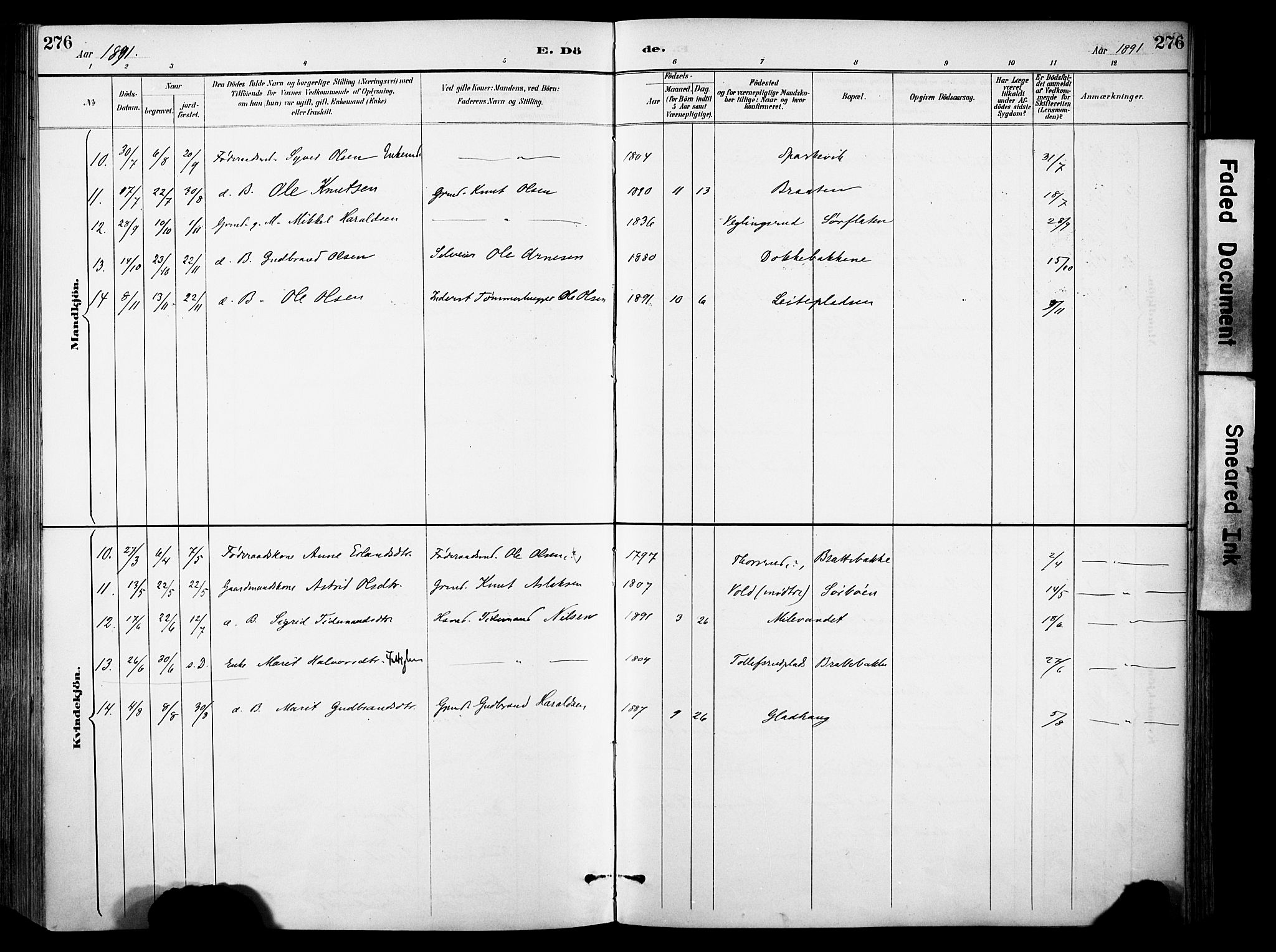 Sør-Aurdal prestekontor, SAH/PREST-128/H/Ha/Haa/L0009: Parish register (official) no. 9, 1886-1906, p. 276