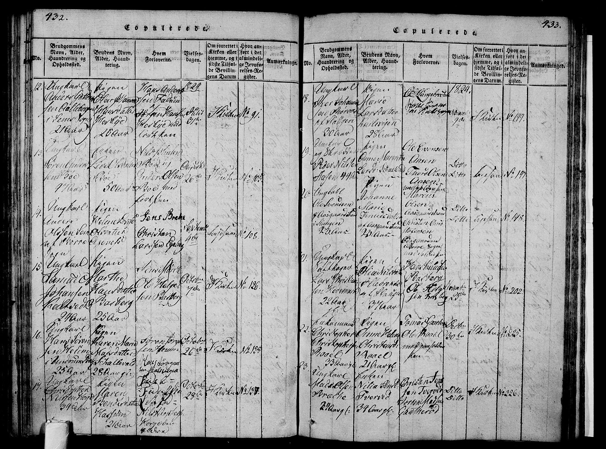 Sem kirkebøker, SAKO/A-5/F/Fa/L0004: Parish register (official) no. I 4, 1814-1825, p. 432-433