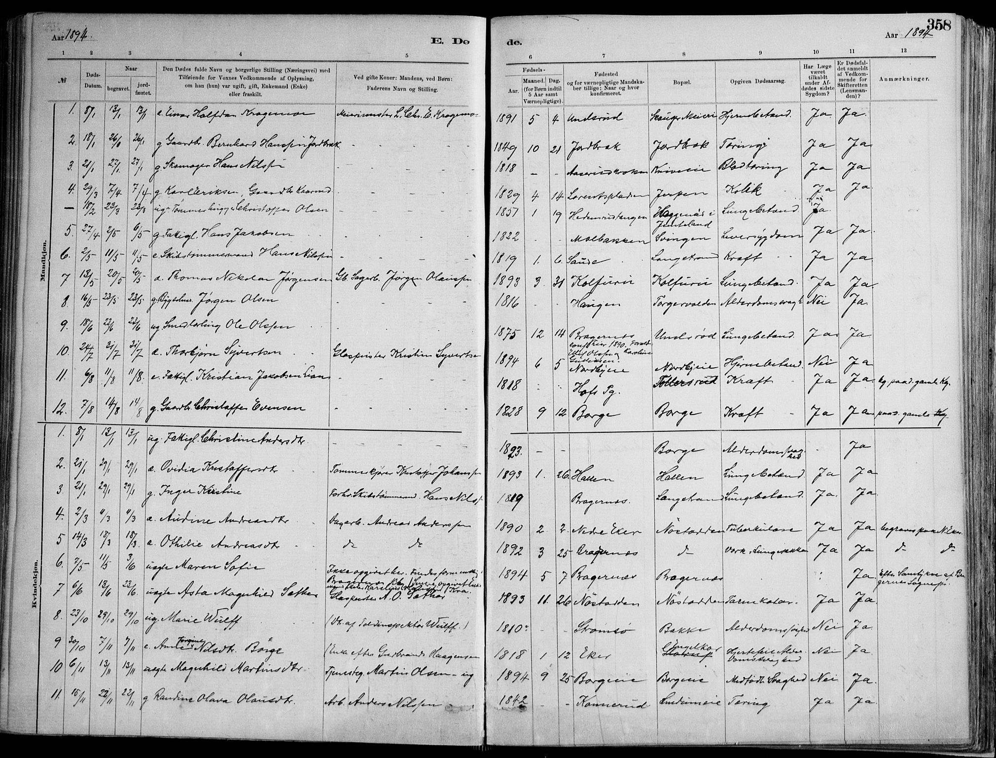 Skoger kirkebøker, AV/SAKO-A-59/F/Fa/L0006: Parish register (official) no. I 6, 1885-1910, p. 358