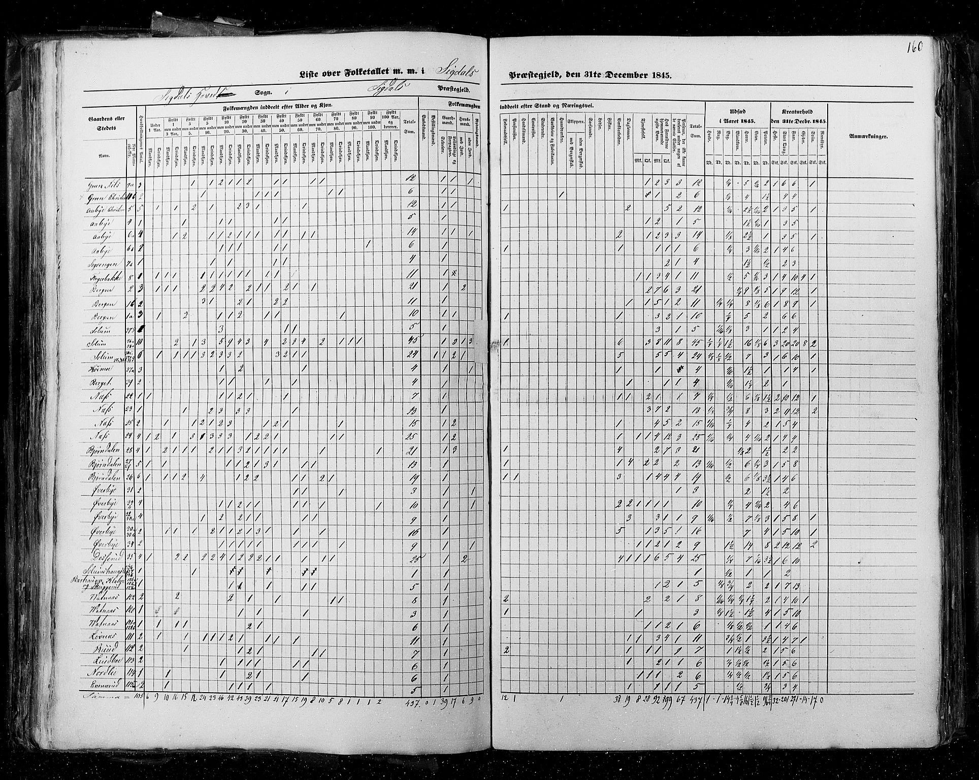 RA, Census 1845, vol. 4: Buskerud amt og Jarlsberg og Larvik amt, 1845, p. 160