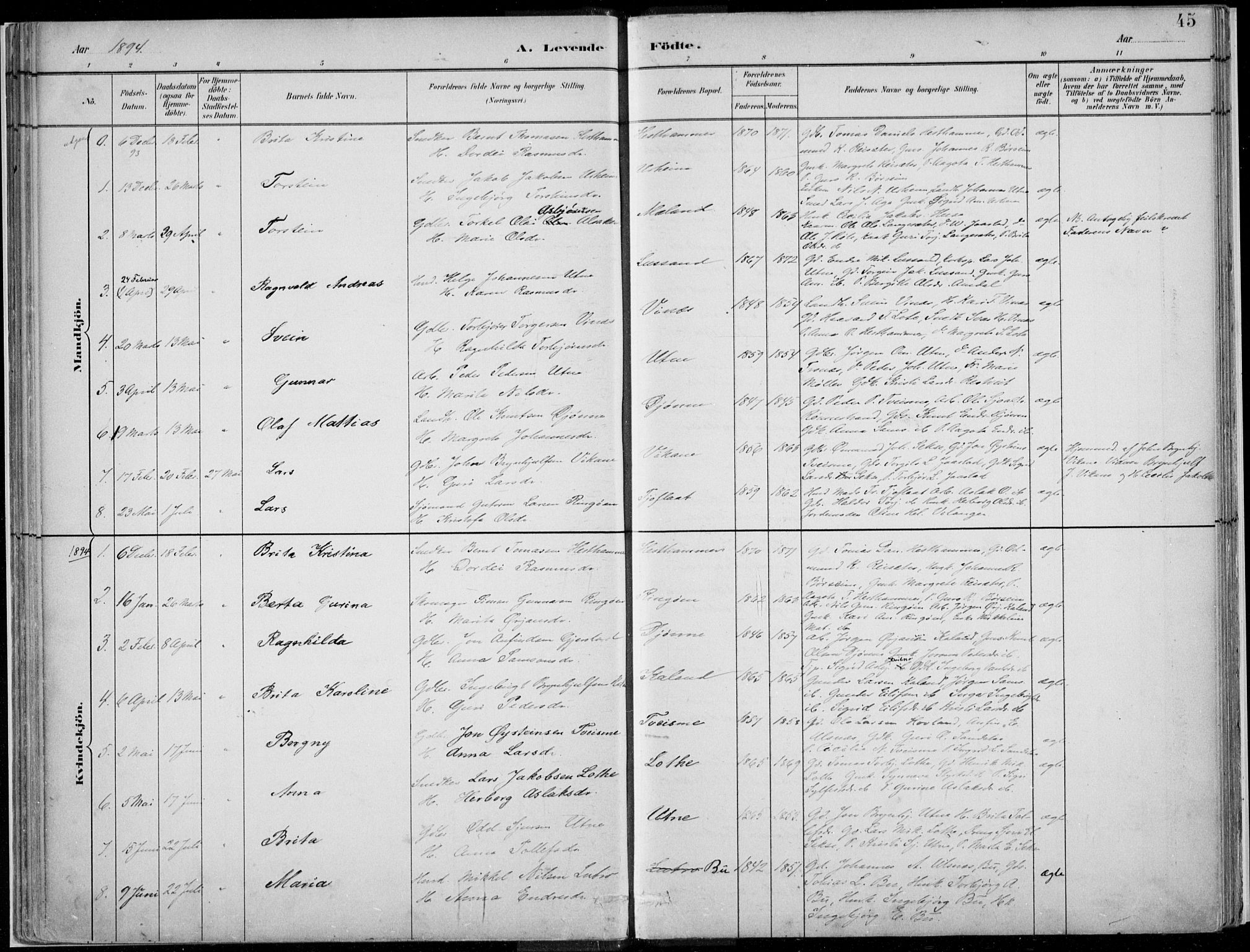 Ullensvang sokneprestembete, SAB/A-78701/H/Haa: Parish register (official) no. E  1, 1882-1921, p. 45
