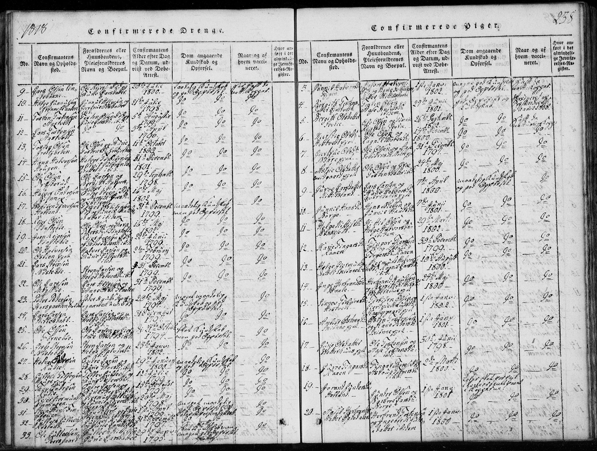 Rollag kirkebøker, AV/SAKO-A-240/G/Ga/L0001: Parish register (copy) no. I 1, 1814-1831, p. 238