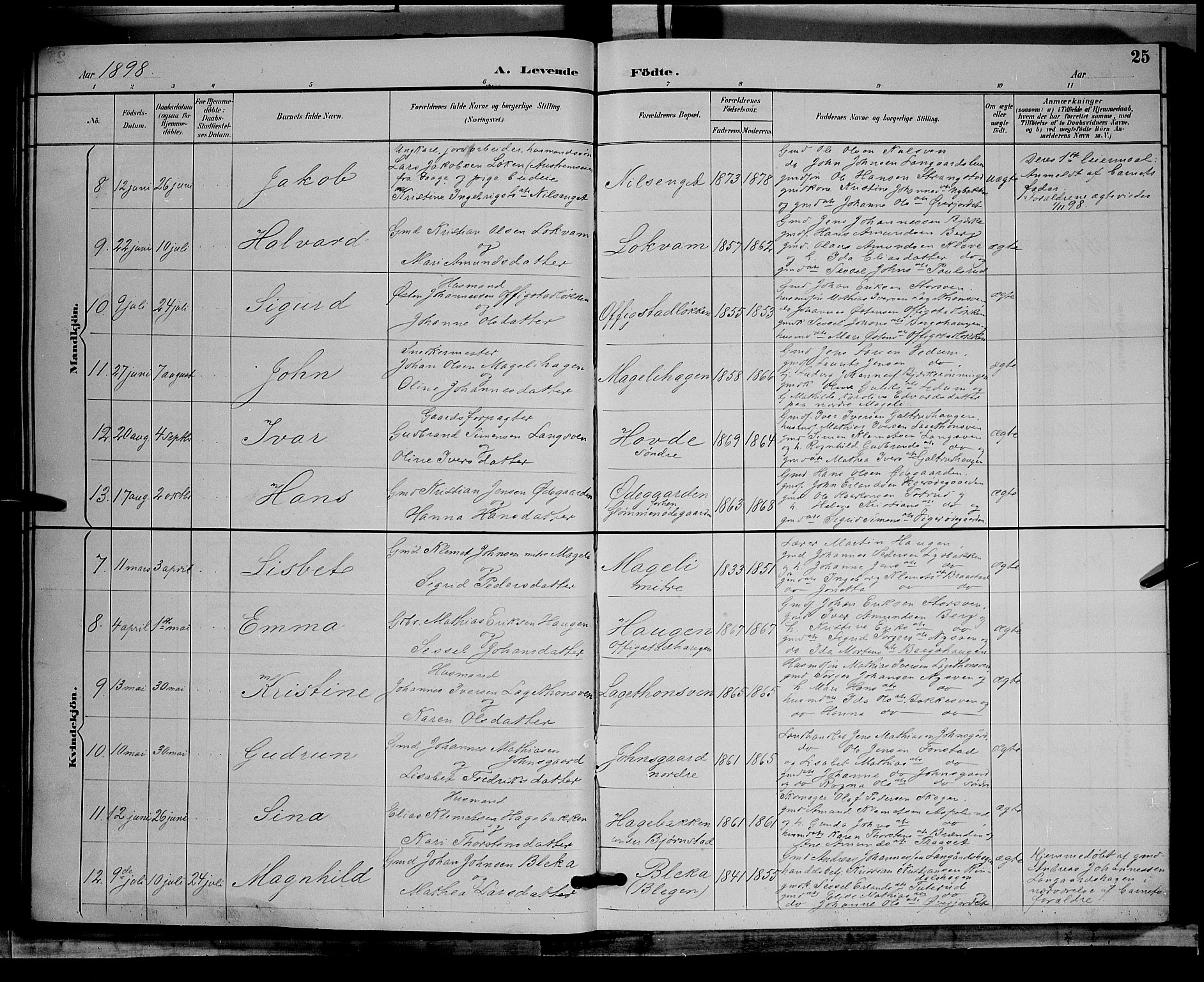 Øyer prestekontor, AV/SAH-PREST-084/H/Ha/Hab/L0004: Parish register (copy) no. 4, 1894-1905, p. 25