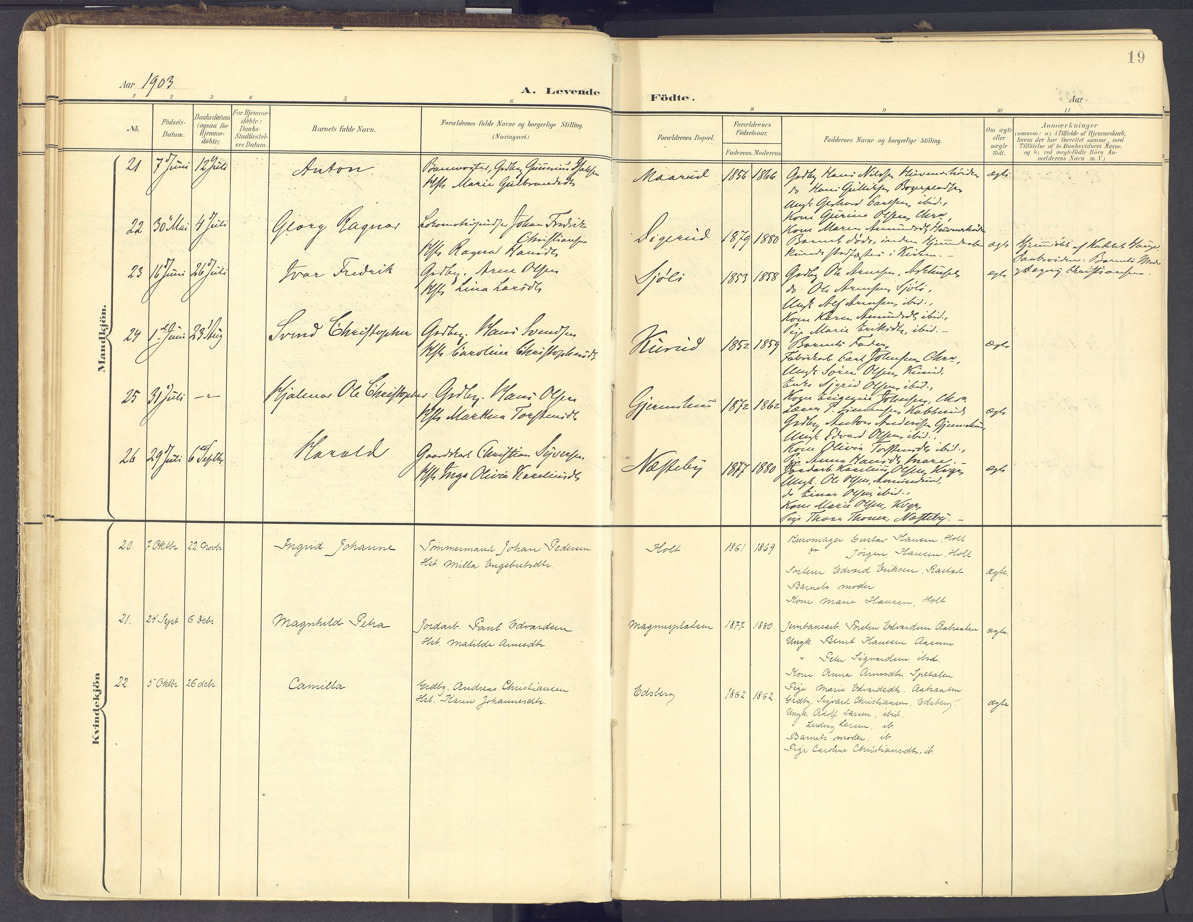 Vinger prestekontor, SAH/PREST-024/H/Ha/Haa/L0017: Parish register (official) no. 17, 1901-1927, p. 19
