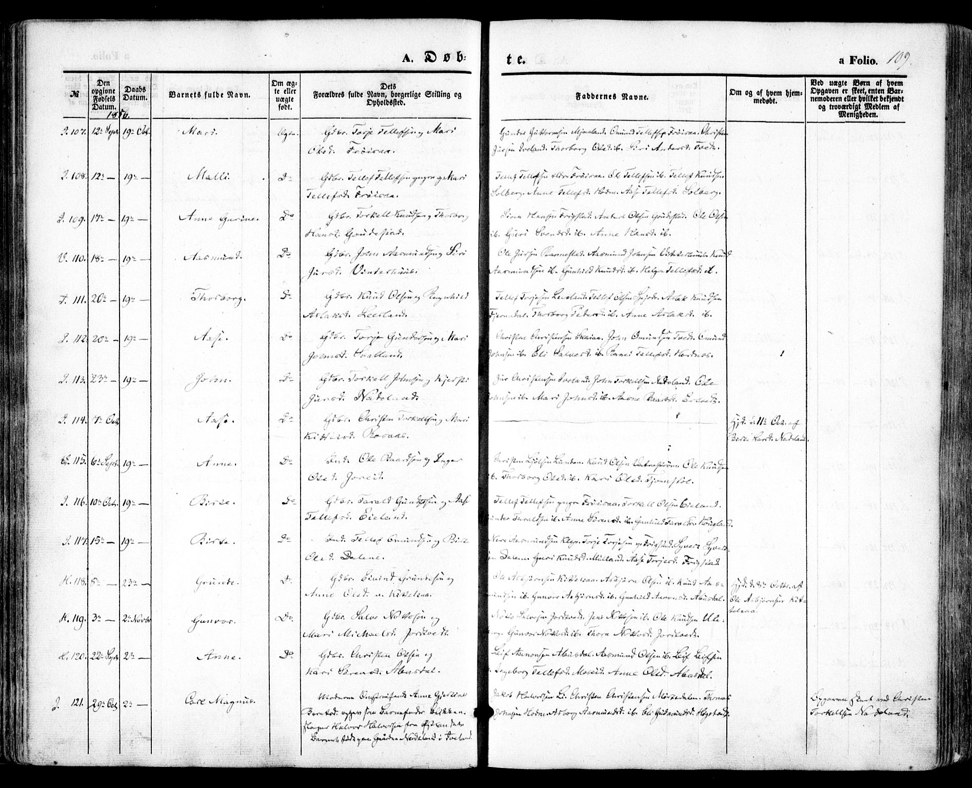 Evje sokneprestkontor, AV/SAK-1111-0008/F/Fa/Faa/L0005: Parish register (official) no. A 5, 1843-1865, p. 109