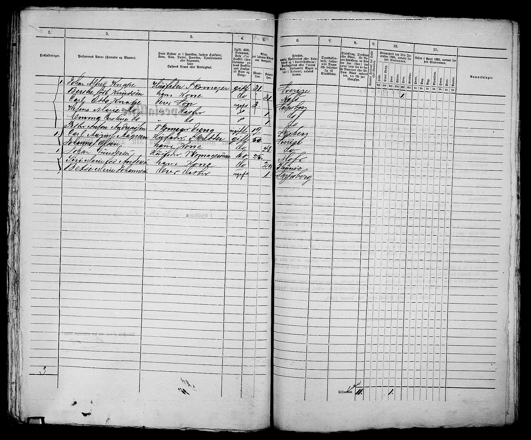 RA, 1865 census for Sarpsborg, 1865, p. 439