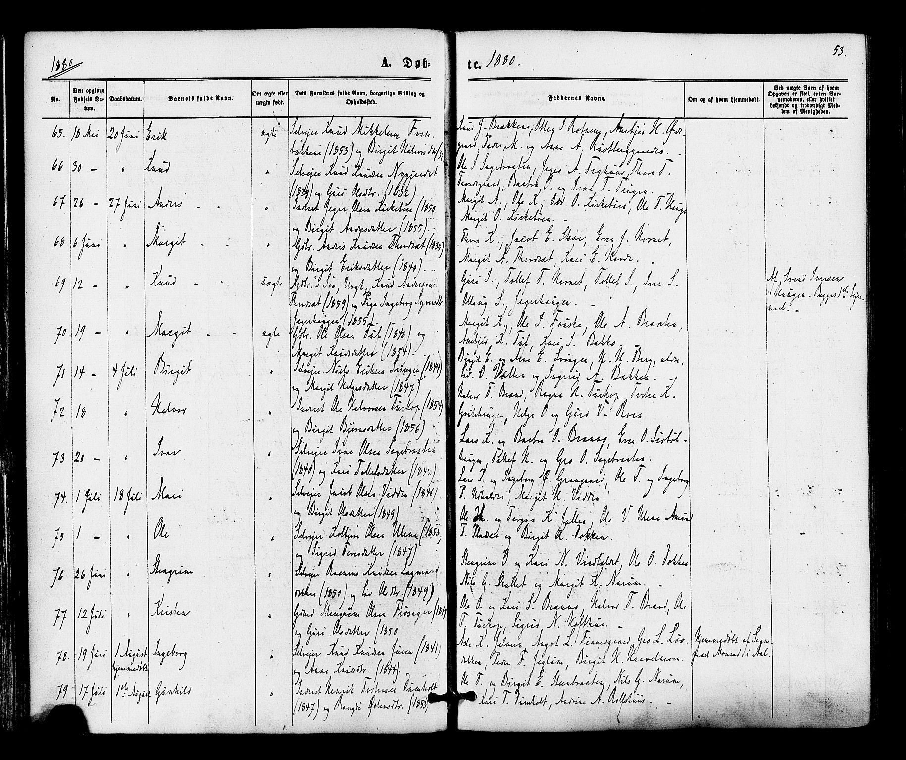 Gol kirkebøker, AV/SAKO-A-226/F/Fa/L0004: Parish register (official) no. I 4, 1876-1886, p. 53