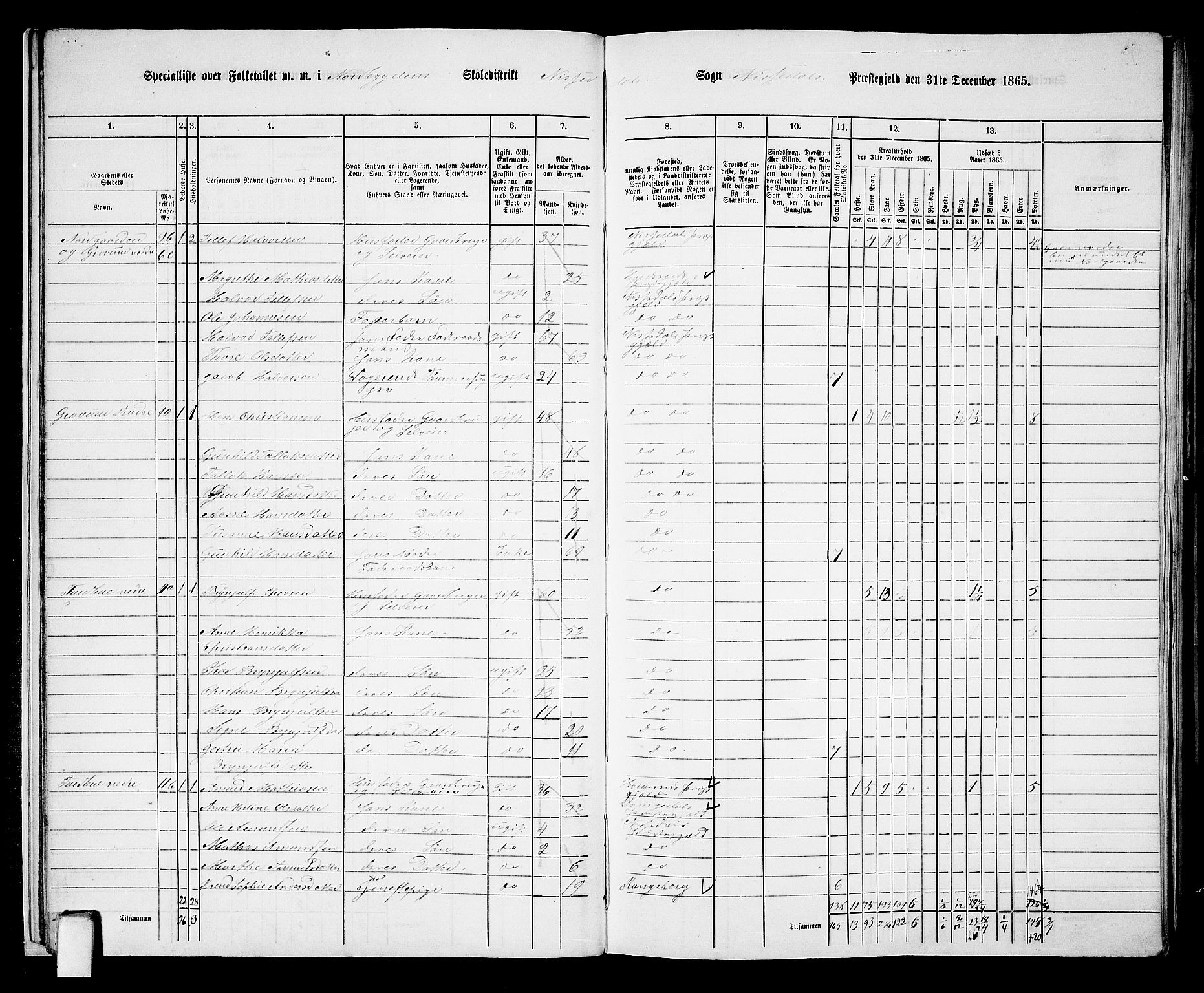 RA, 1865 census for Nissedal, 1865, p. 16