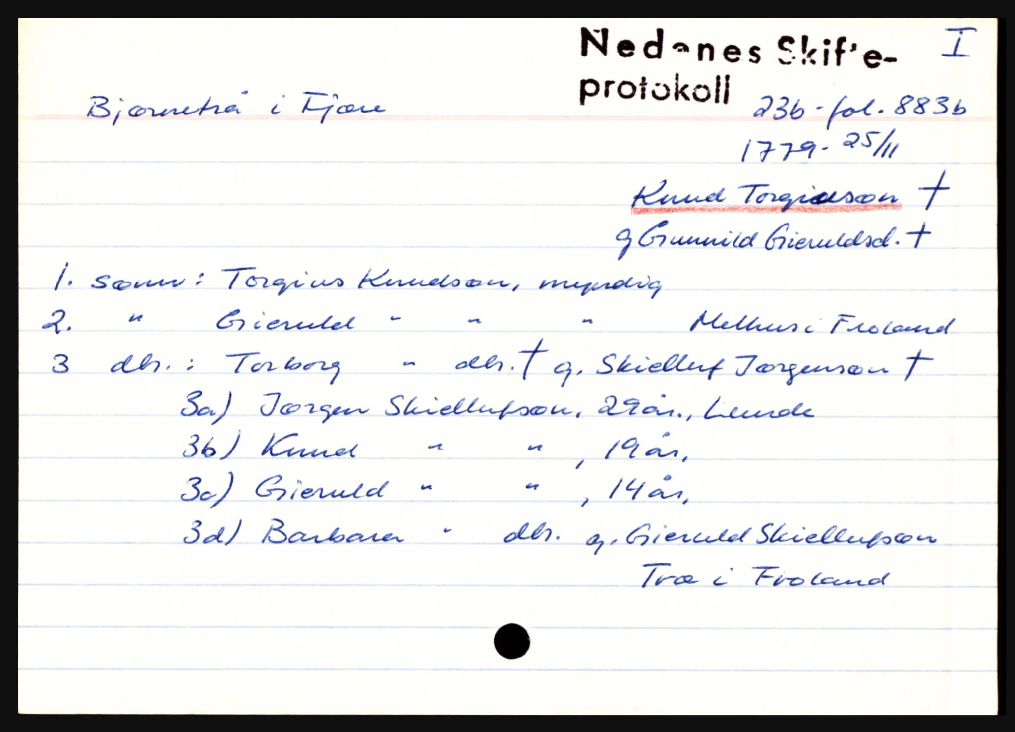 Nedenes sorenskriveri før 1824, AV/SAK-1221-0007/H, p. 2969