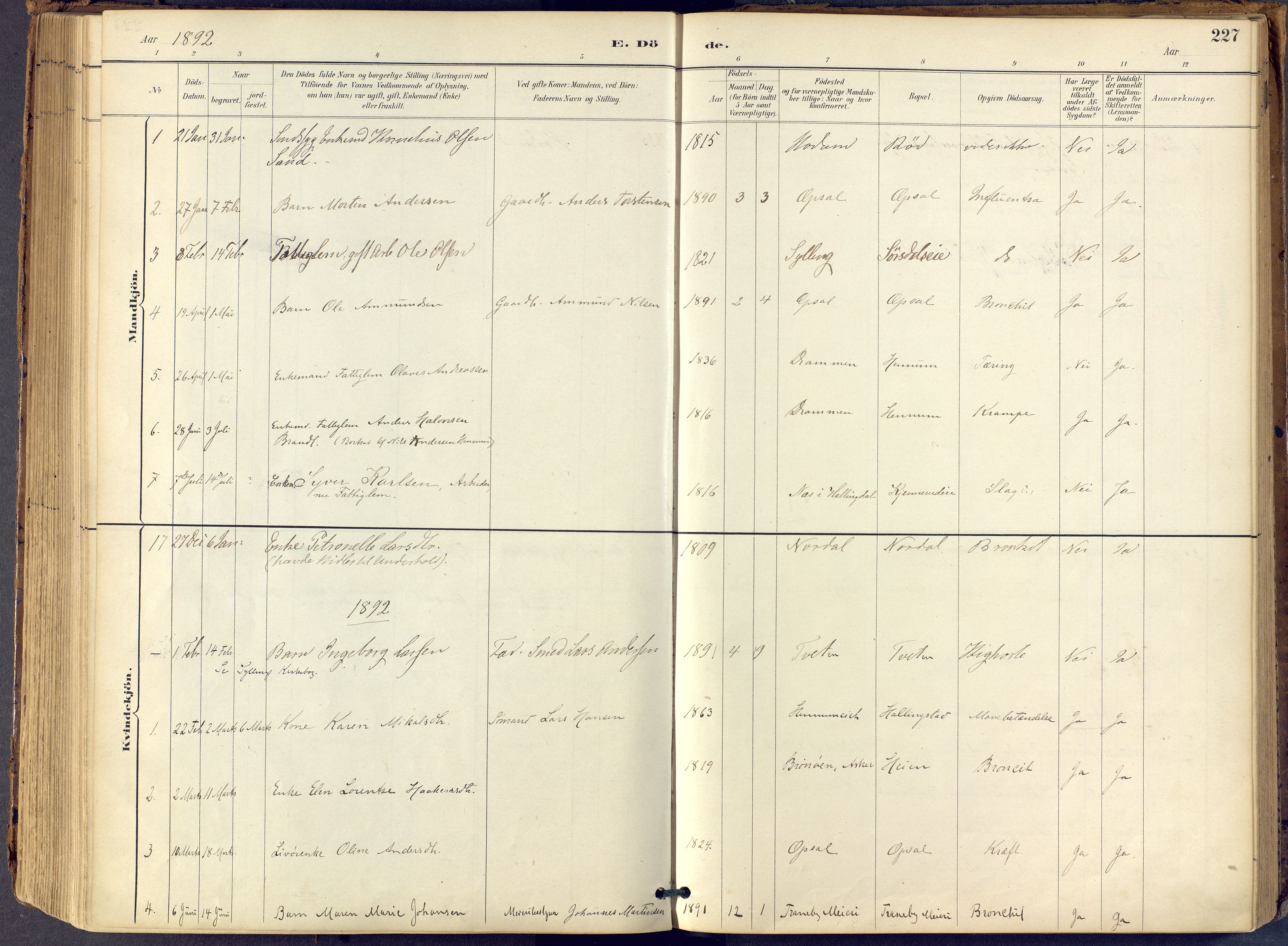 Lier kirkebøker, AV/SAKO-A-230/F/Fb/L0001: Parish register (official) no. II 1, 1883-1910, p. 227