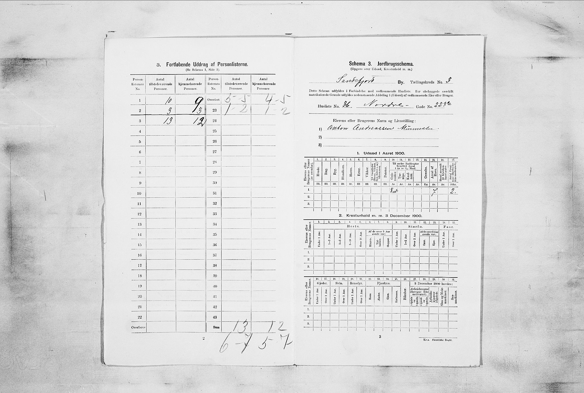 RA, 1900 census for Sandefjord, 1900, p. 896