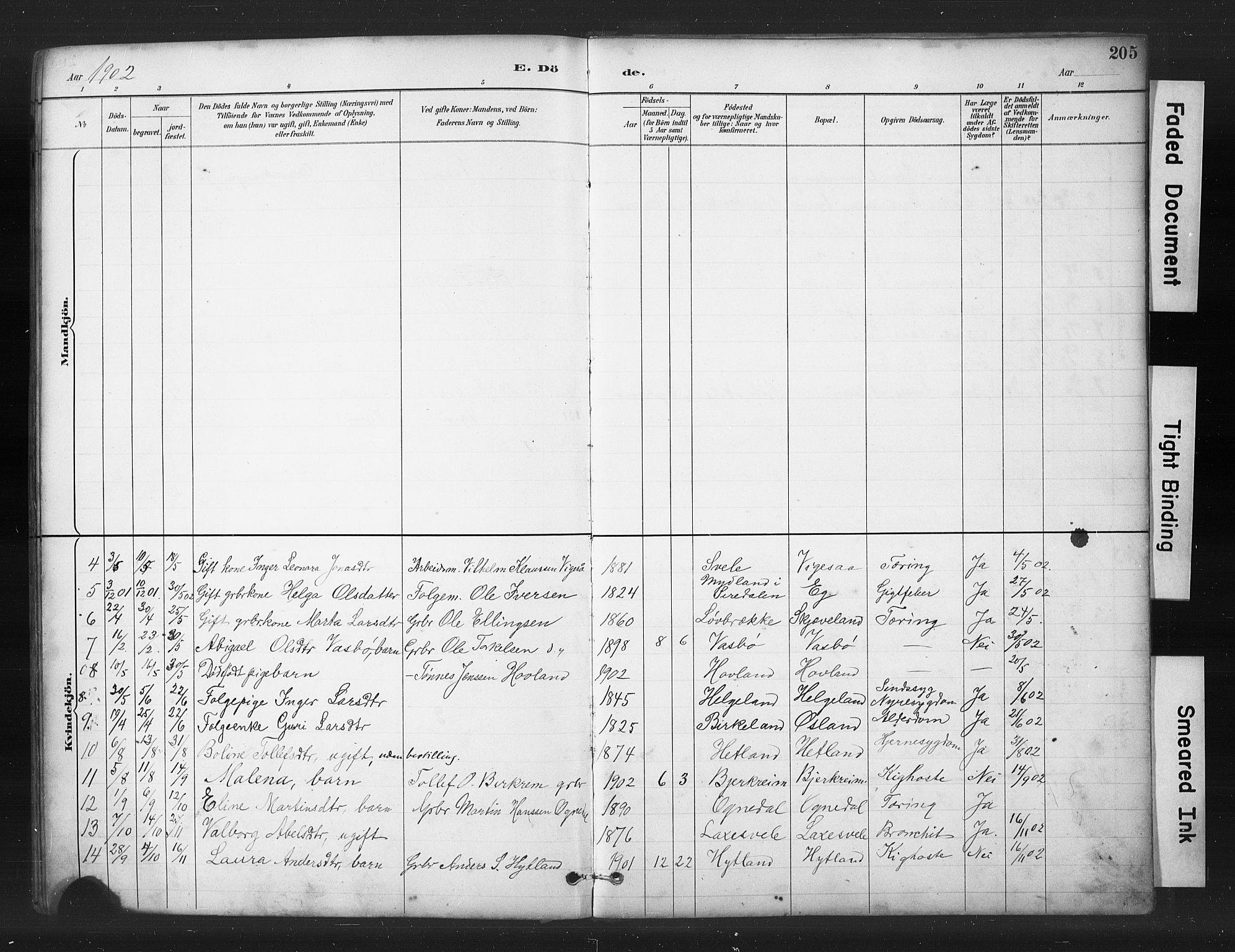 Helleland sokneprestkontor, AV/SAST-A-101810: Parish register (copy) no. B 5, 1887-1908, p. 205