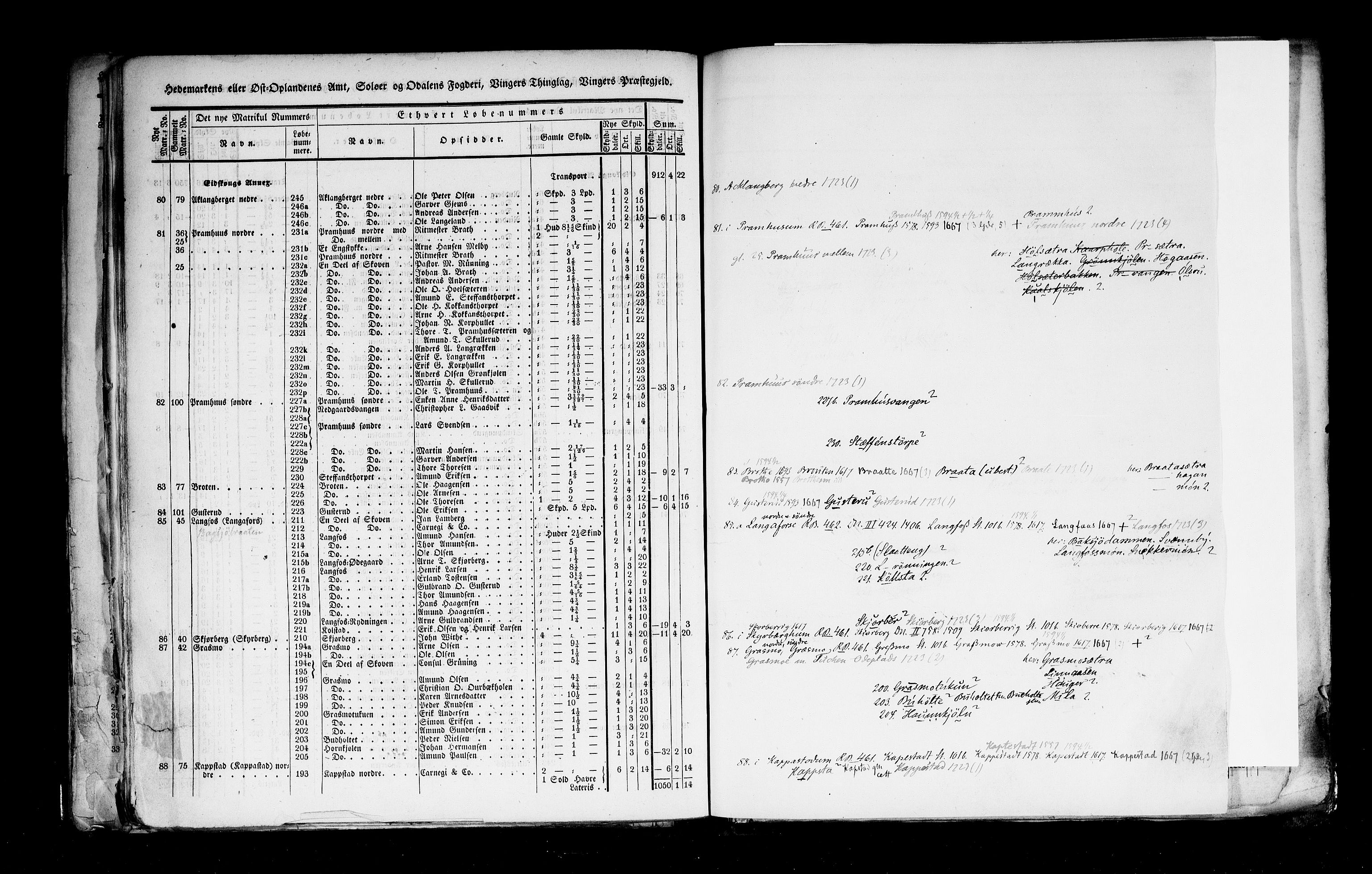 Rygh, RA/PA-0034/F/Fb/L0003: Matrikkelen for 1838 - Hedemarken amt (Hedmark fylke), 1838