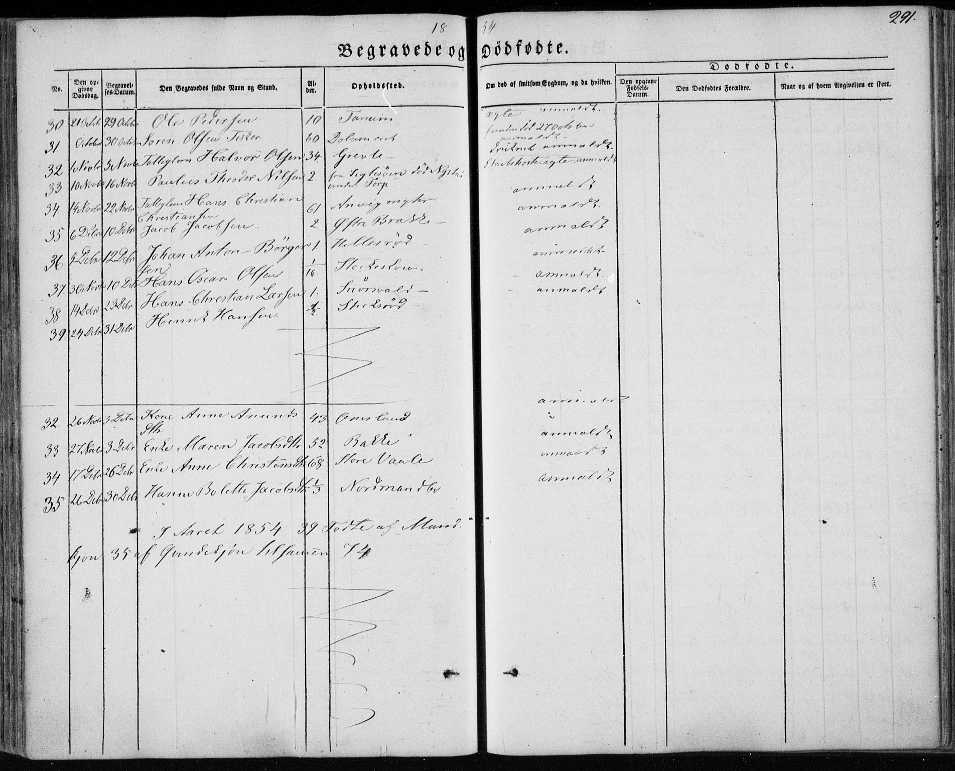 Brunlanes kirkebøker, AV/SAKO-A-342/F/Fa/L0004: Parish register (official) no. I 4, 1846-1862, p. 291