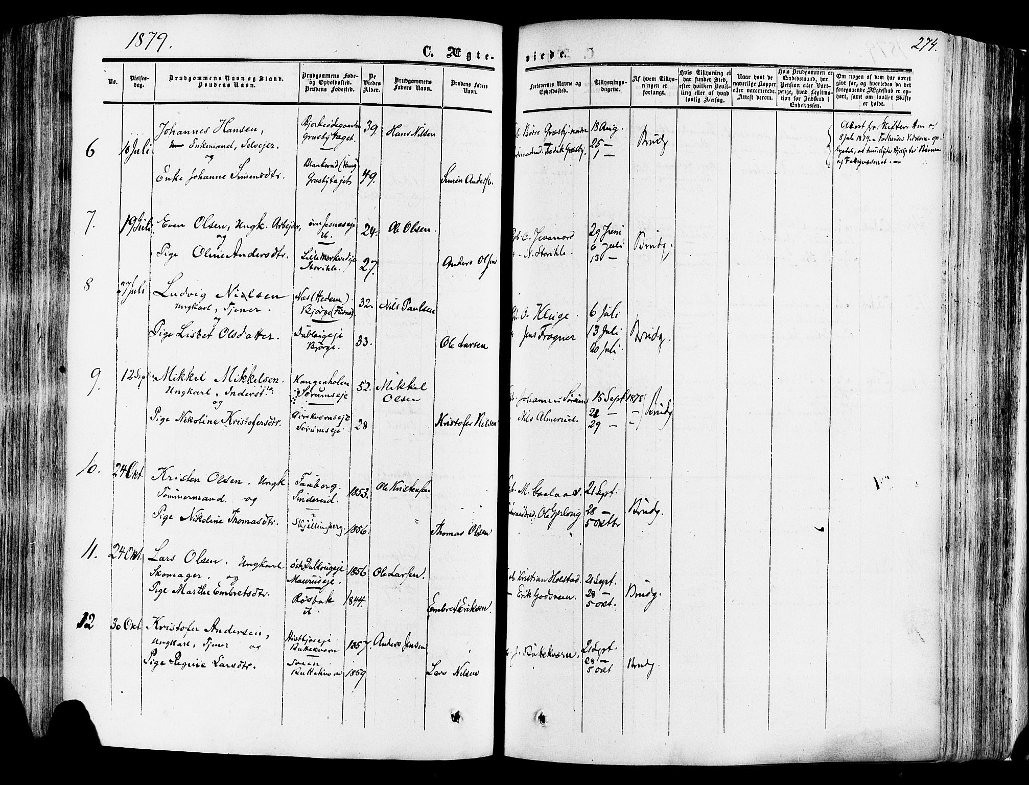 Vang prestekontor, Hedmark, SAH/PREST-008/H/Ha/Haa/L0013: Parish register (official) no. 13, 1855-1879, p. 274